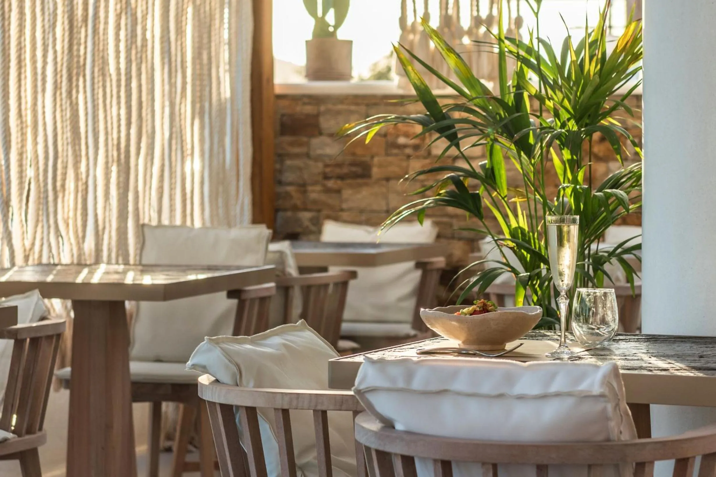 Staff in Virtu Suites