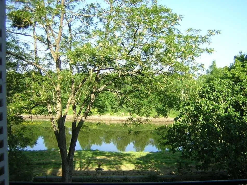 Property building in La Marronniere