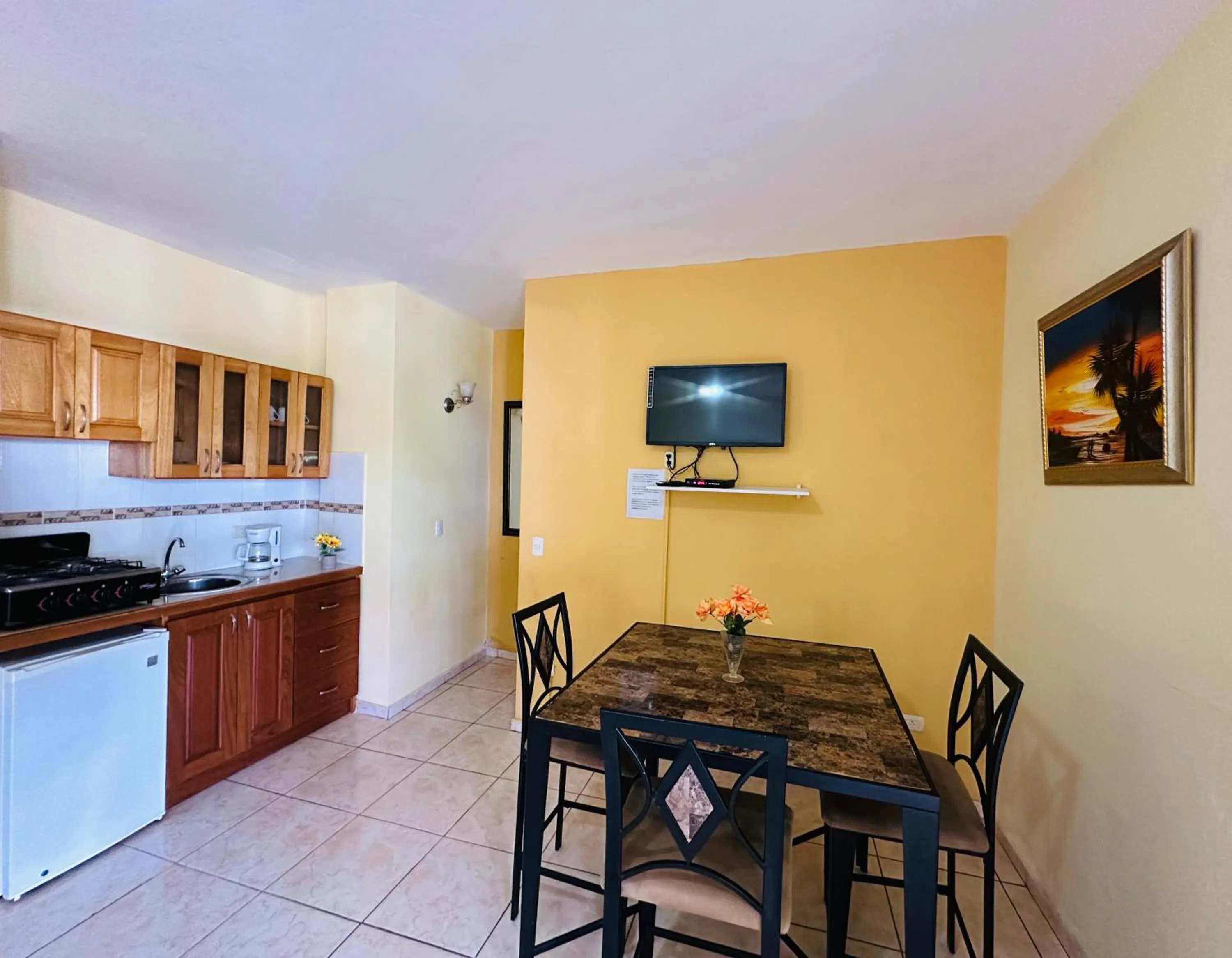 TV and multimedia in Aparthotel Michaela