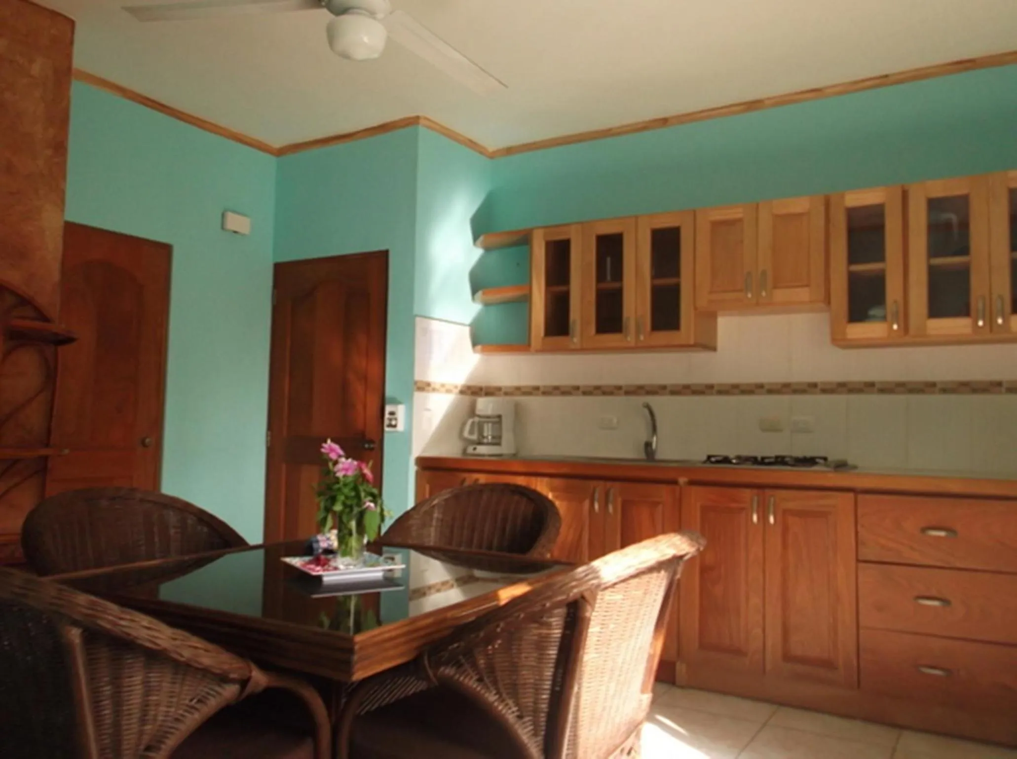 Kitchen or kitchenette in Aparthotel Michaela