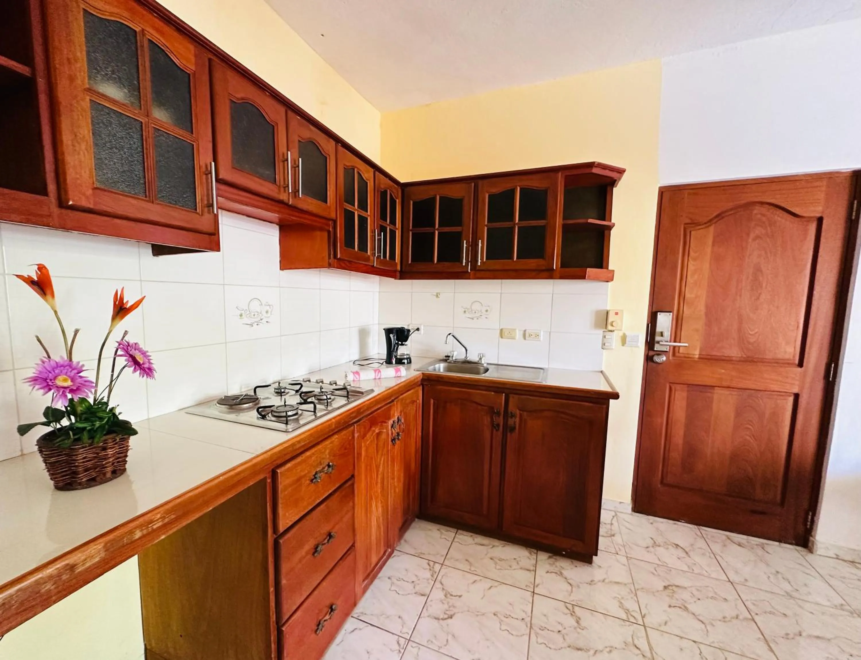 Kitchen or kitchenette in Aparthotel Michaela