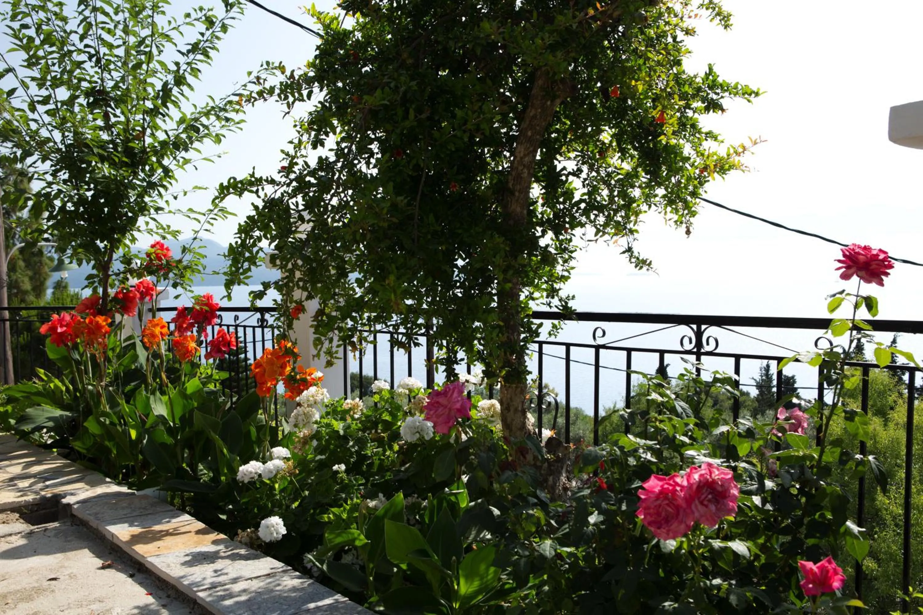 Garden in Jimmy's House