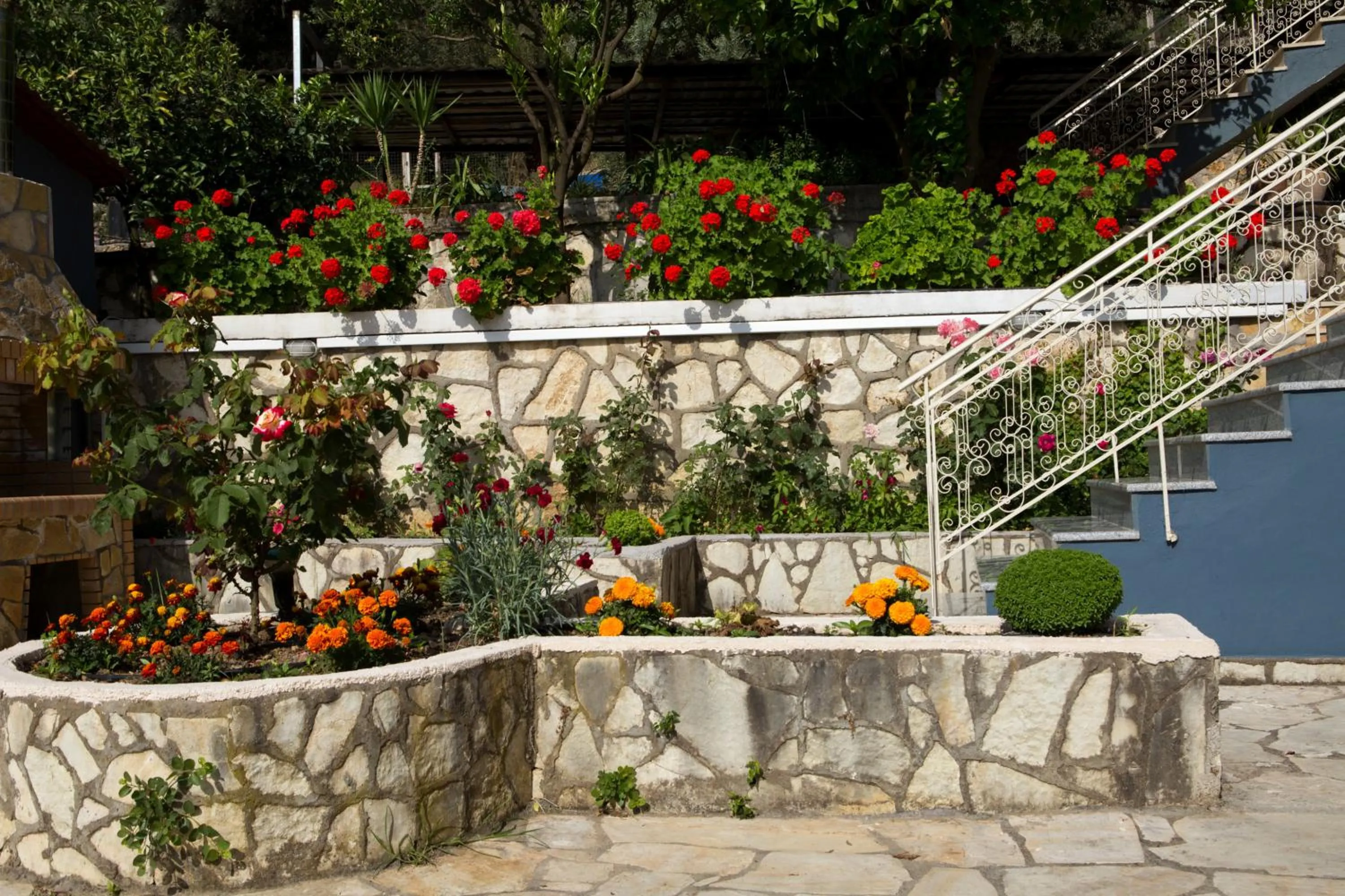Garden in Jimmy's House