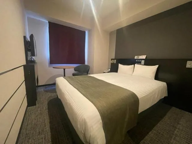 Double Room - single occupancy - Smoking (For heated tobacco products only) in Hotel Villa Fontaine Tokyo-Kudanshita