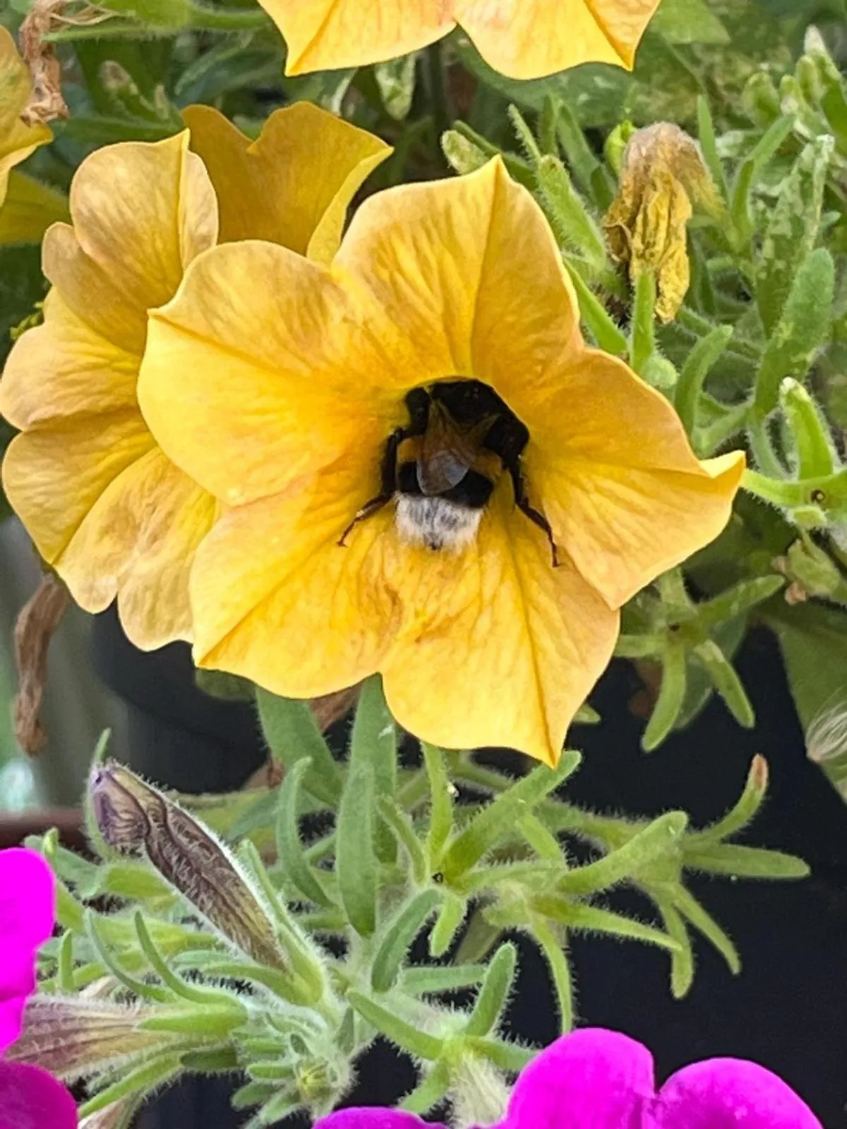 Ricordi Siciliani - Charme Rooms