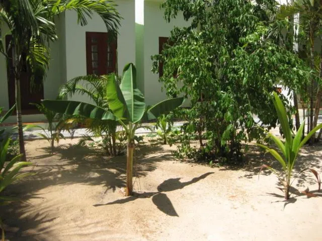 Garden in Cocosand Hotel