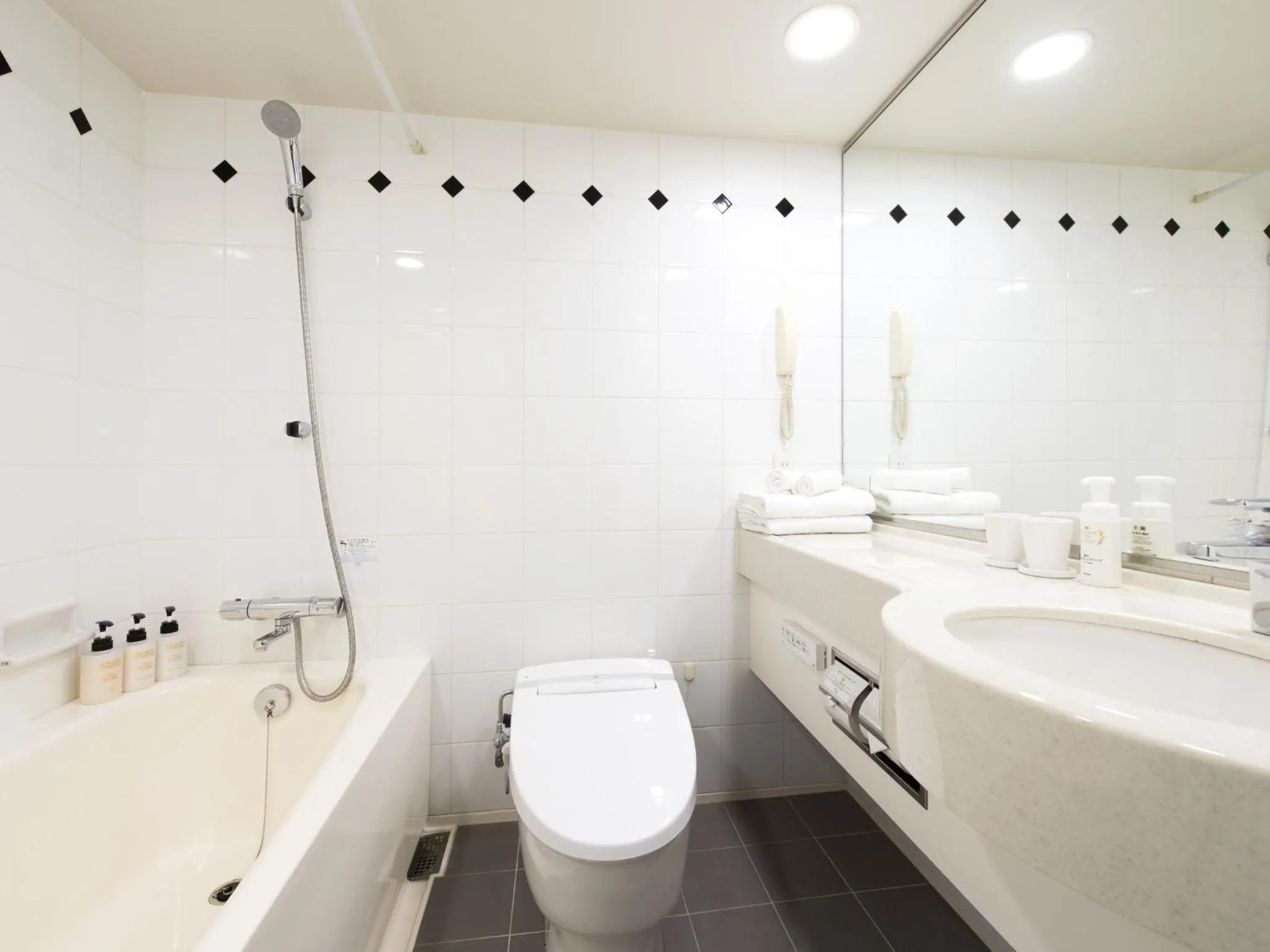 Photo of the whole room in Hotel Villa Fontaine Grand Tokyo-Roppongi