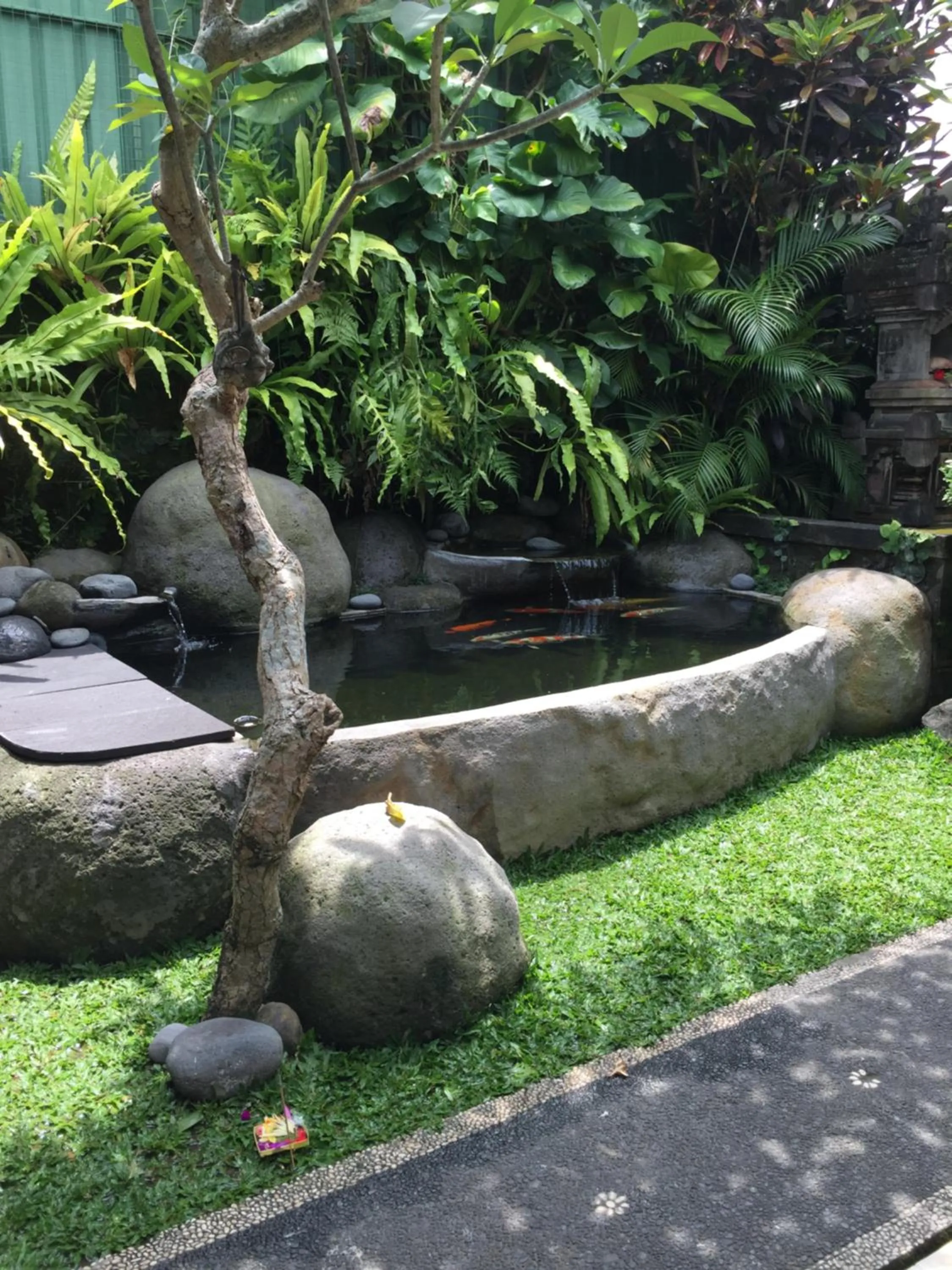 Garden view in Teja Home Stay