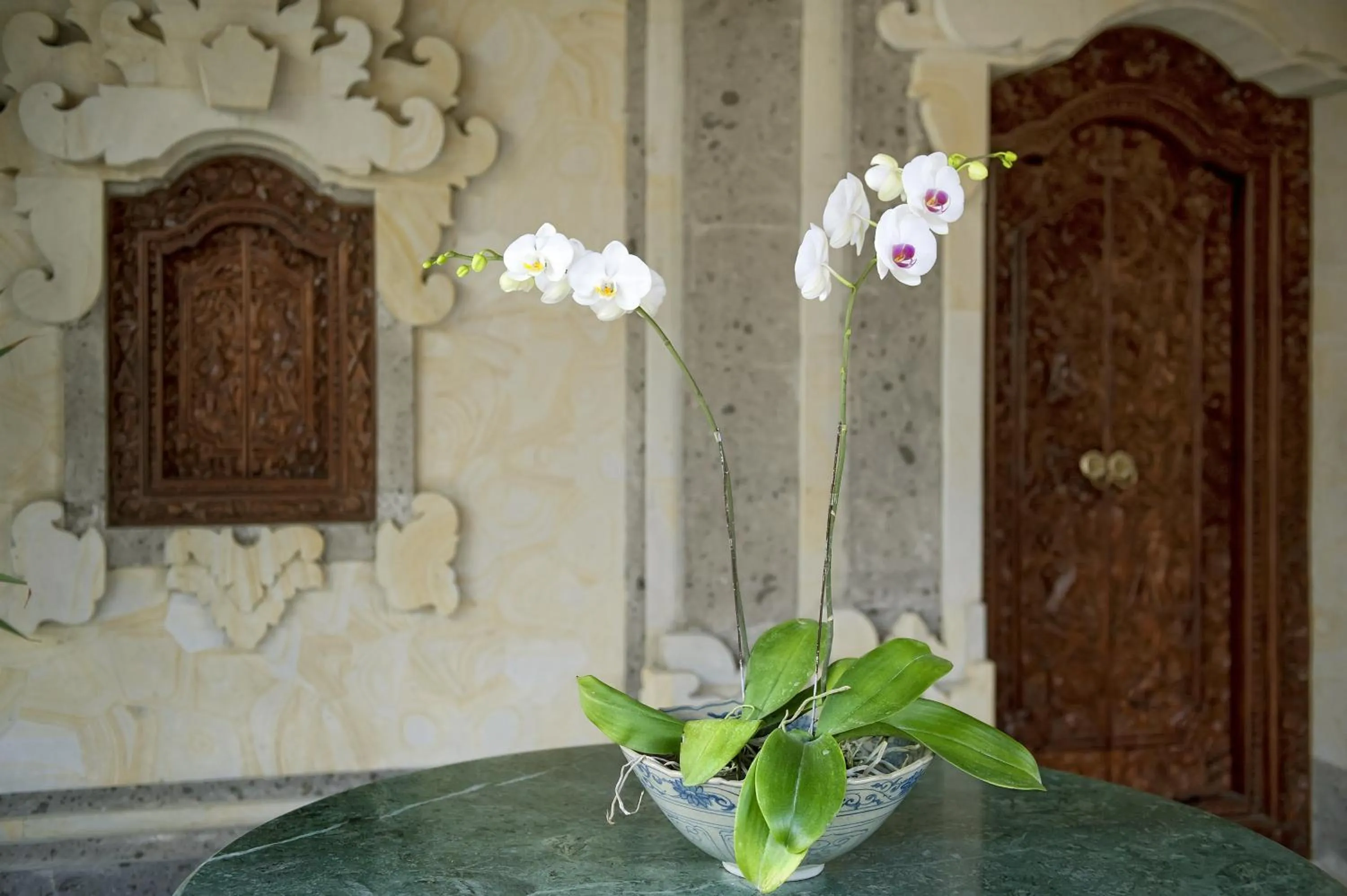 Area and facilities in Teja Home Stay