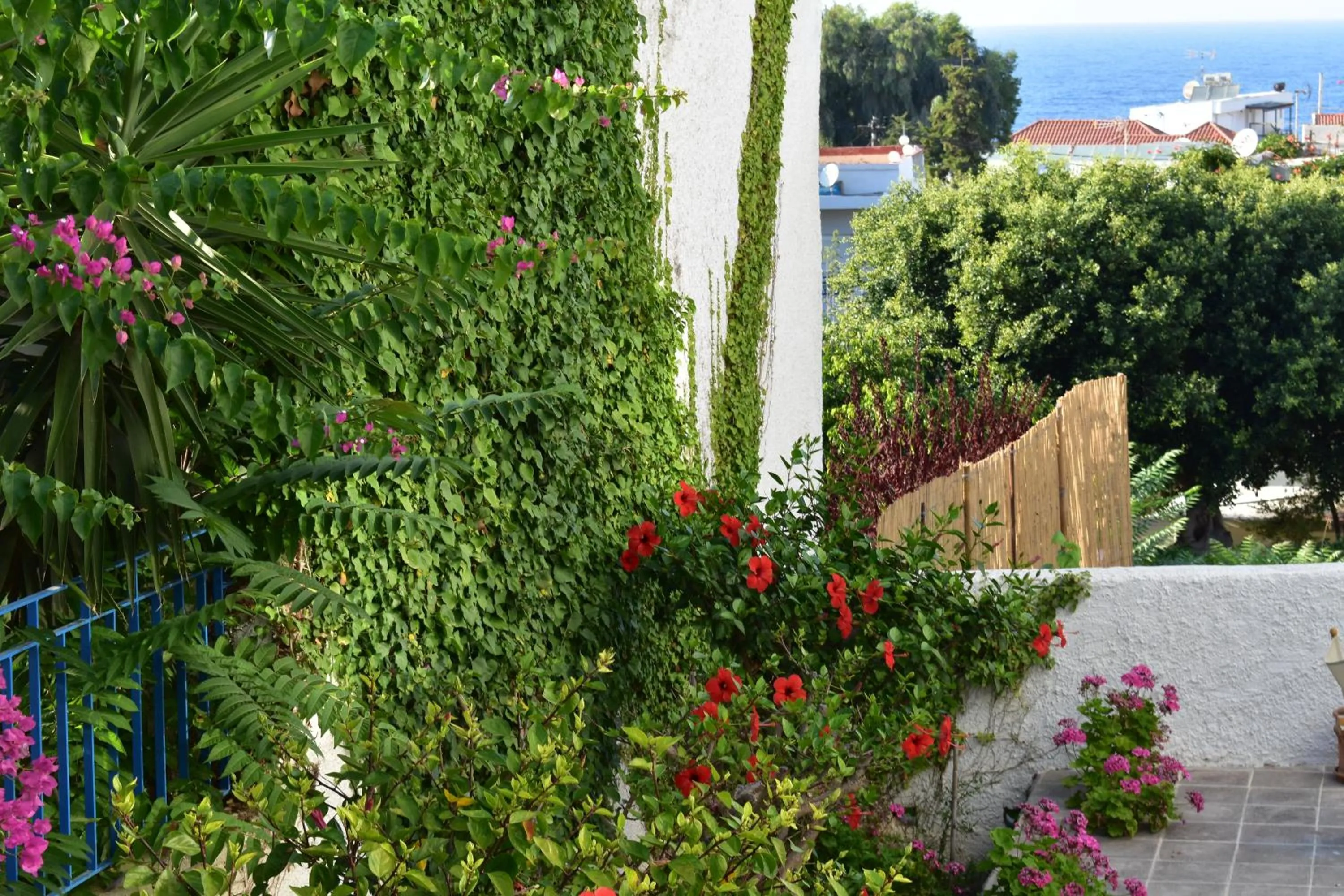 Garden in Kasteli Studios & Apartments