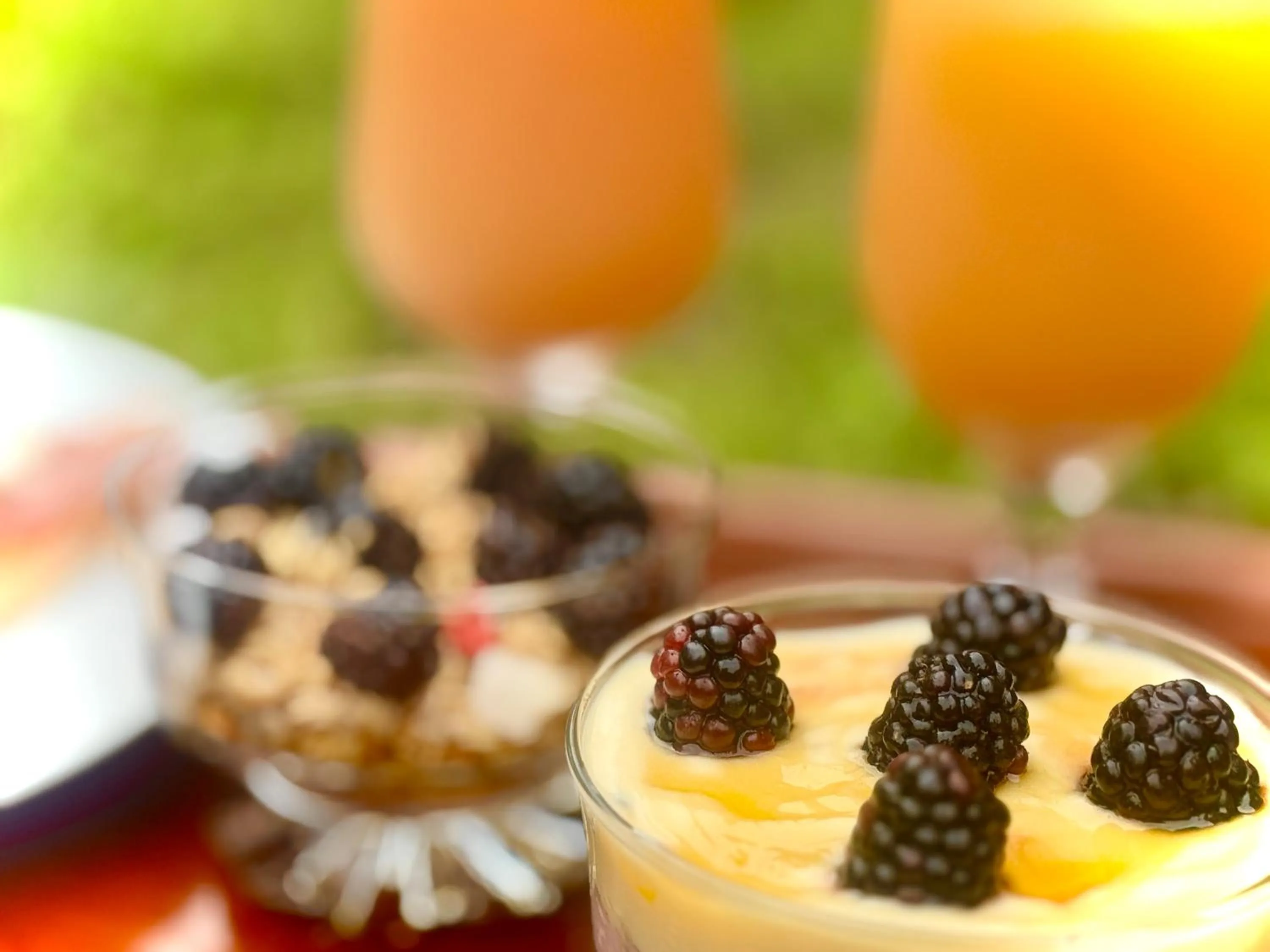 Food and drinks in Rooibos Retreat