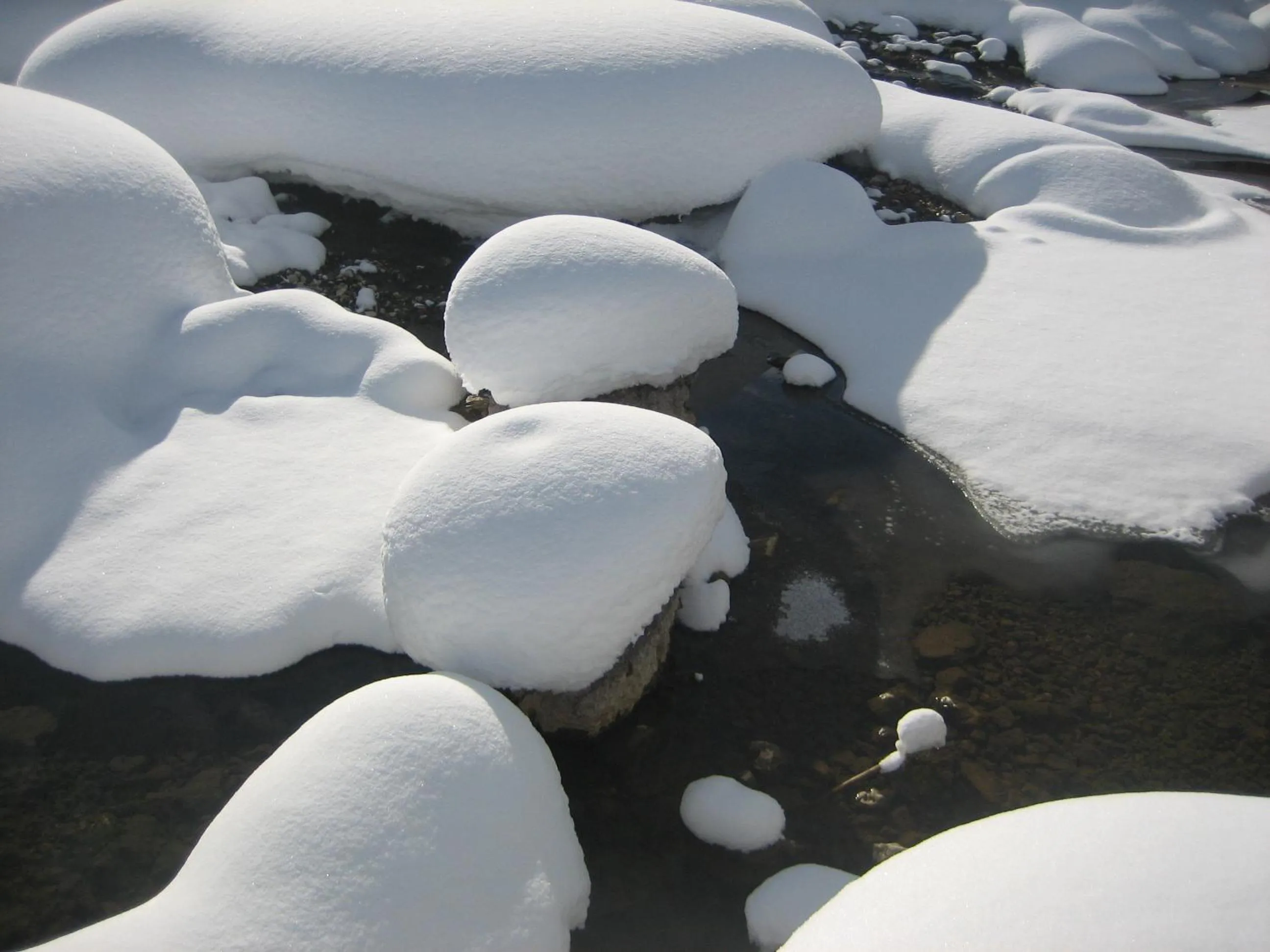 Day in Hotel Gran Pre