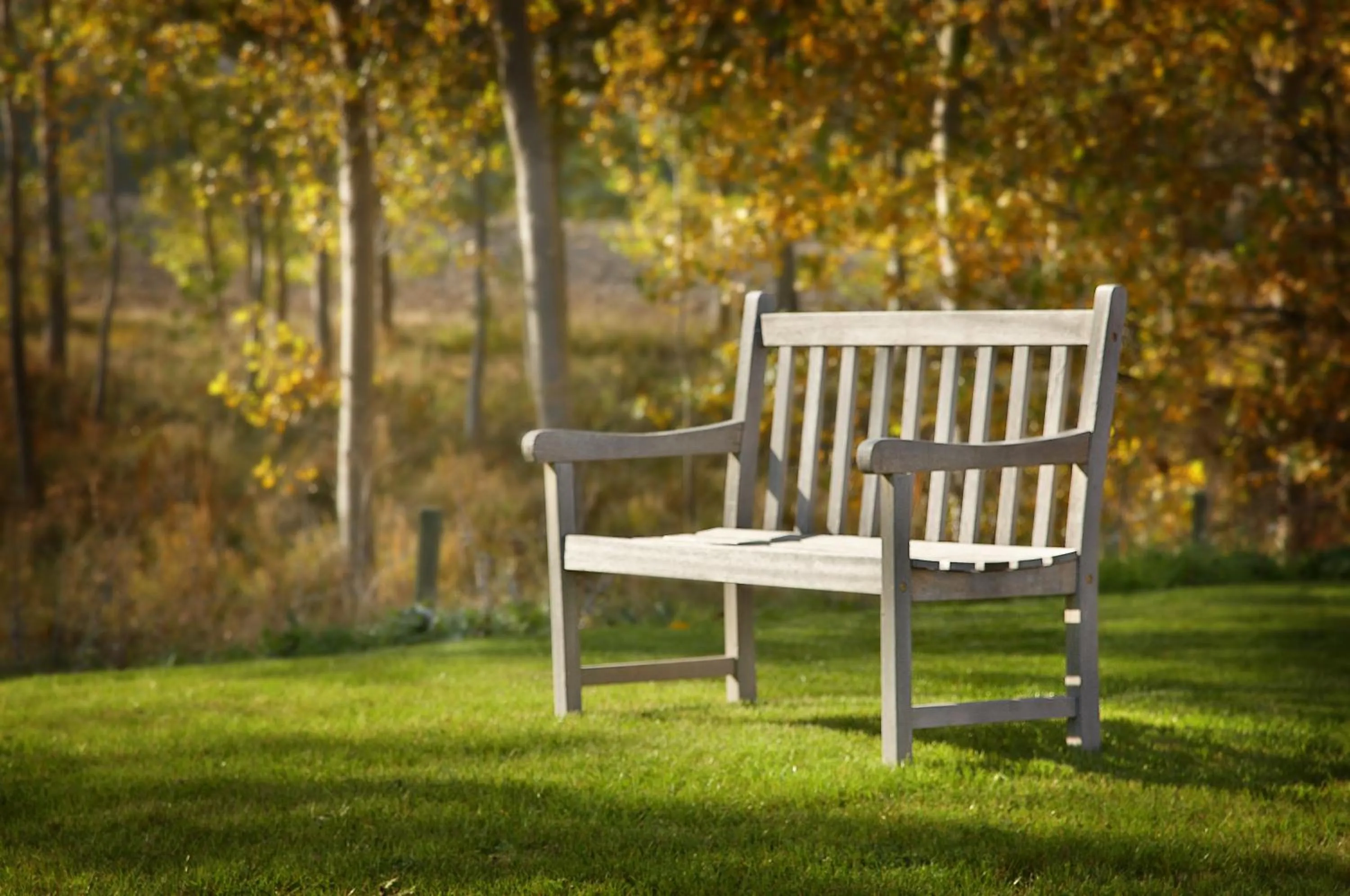 Garden in Hotel Santa Coloma del Camino