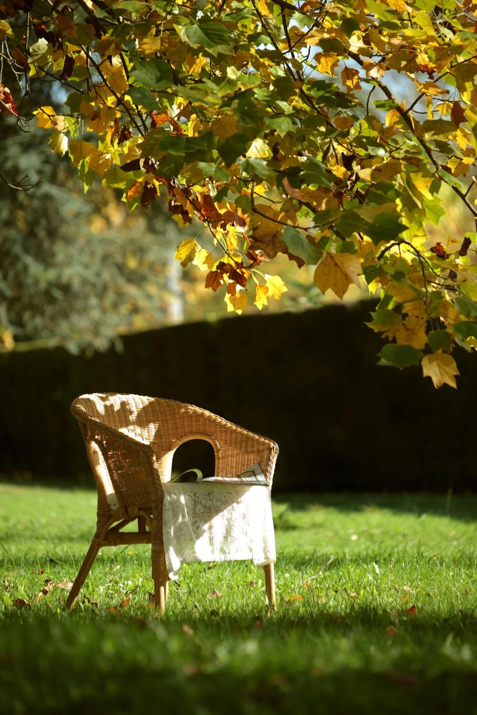 Garden in Le Mas Des Bories - Grand Perigueux