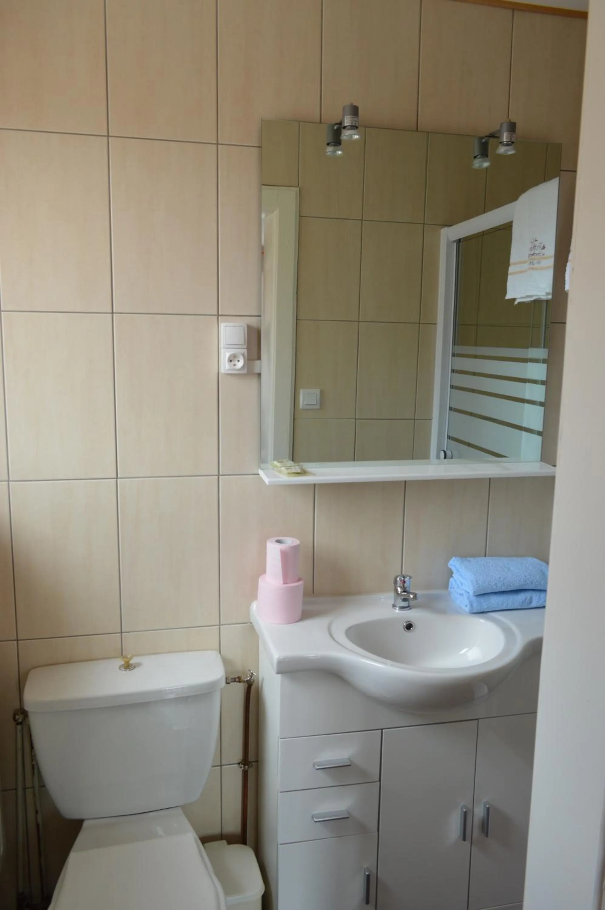 Toilet in Hôtel Timgad