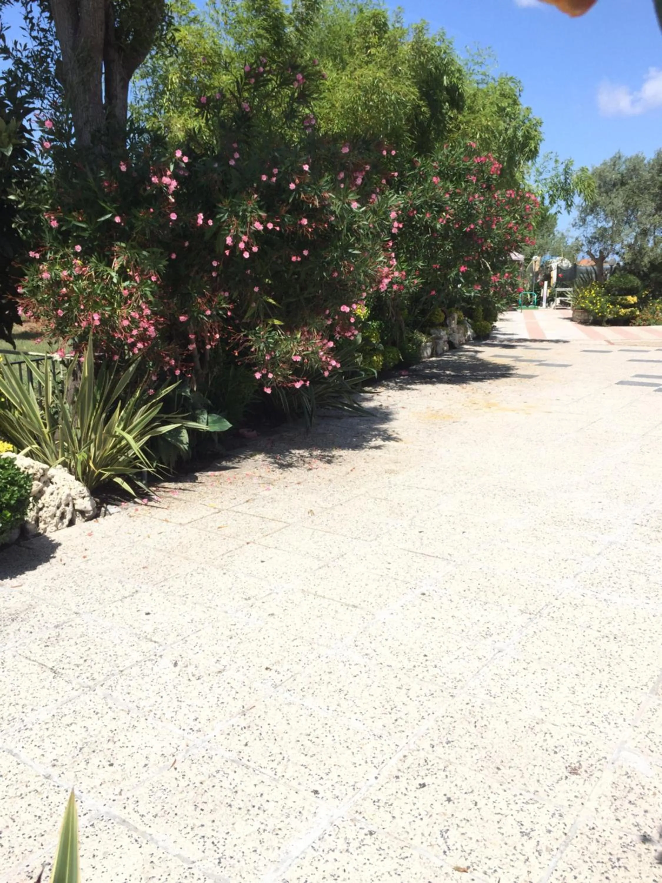 Garden in Quinta Forum