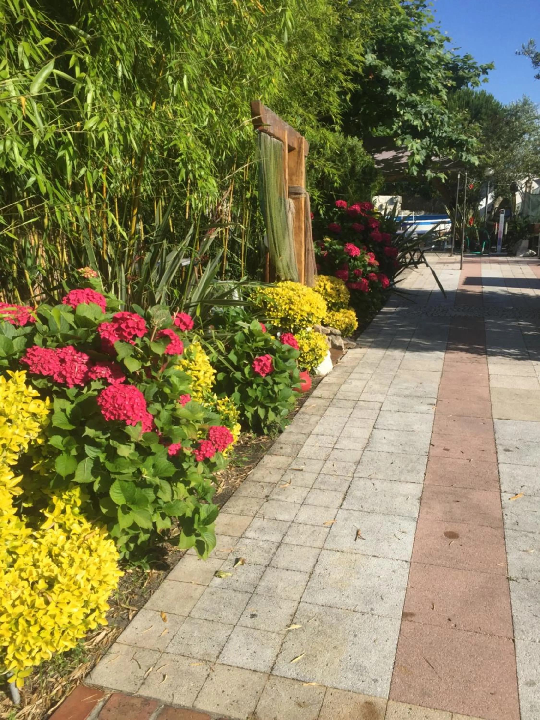 Spring in Quinta Forum