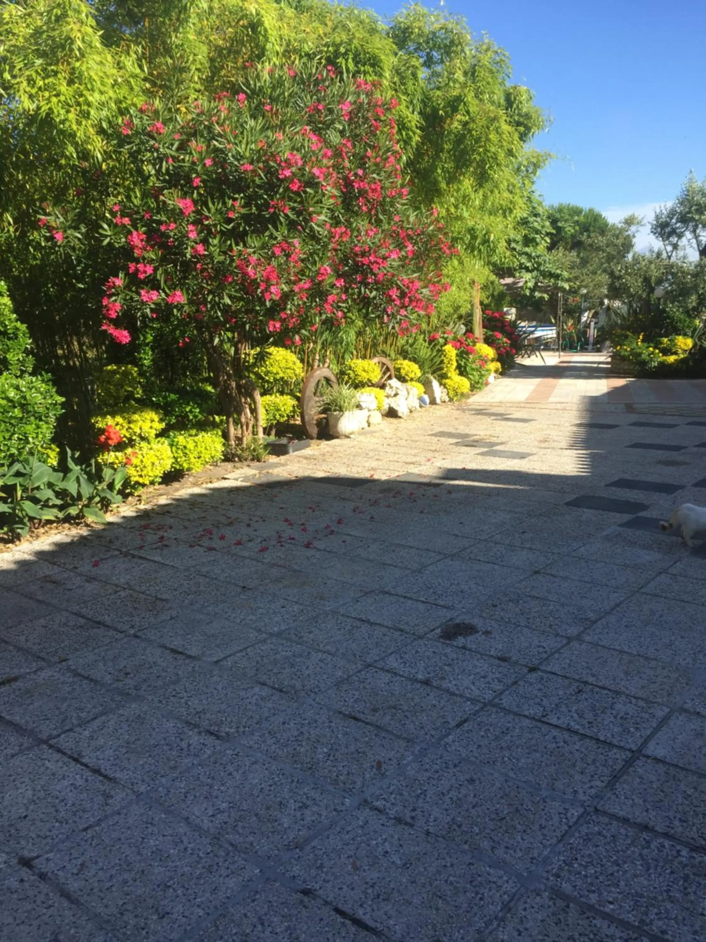 Garden in Quinta Forum