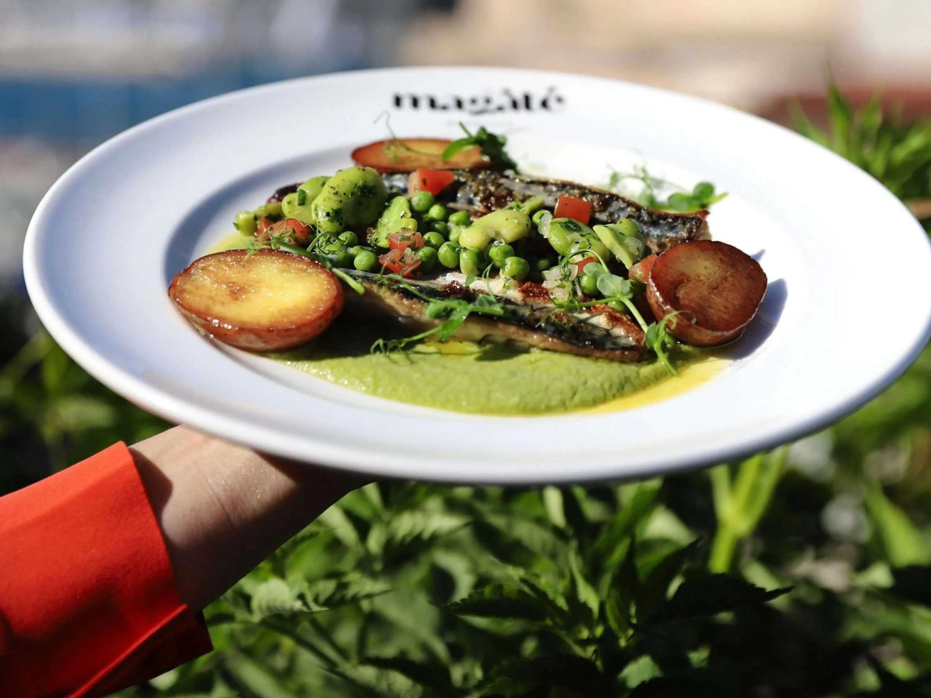 Restaurant/places to eat in Novotel Marseille Vieux Port