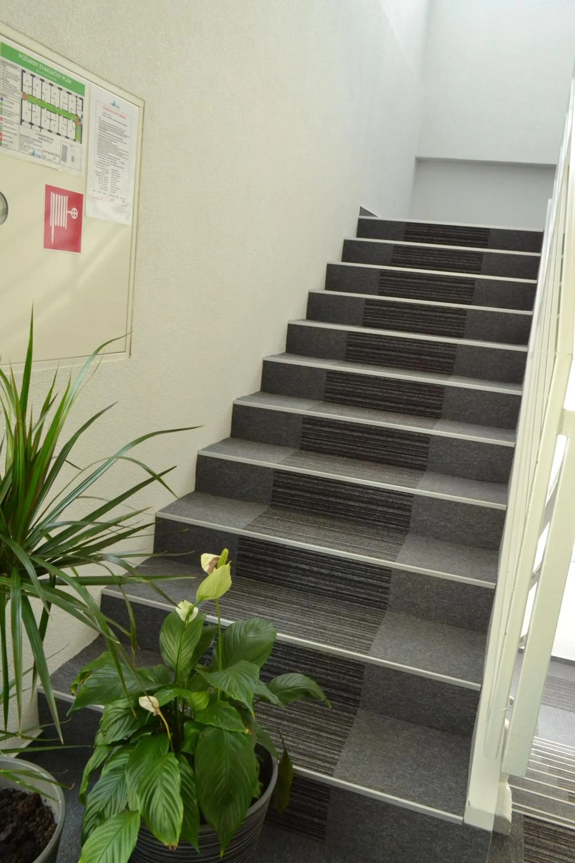 Facade/entrance in Garni Hotel 31