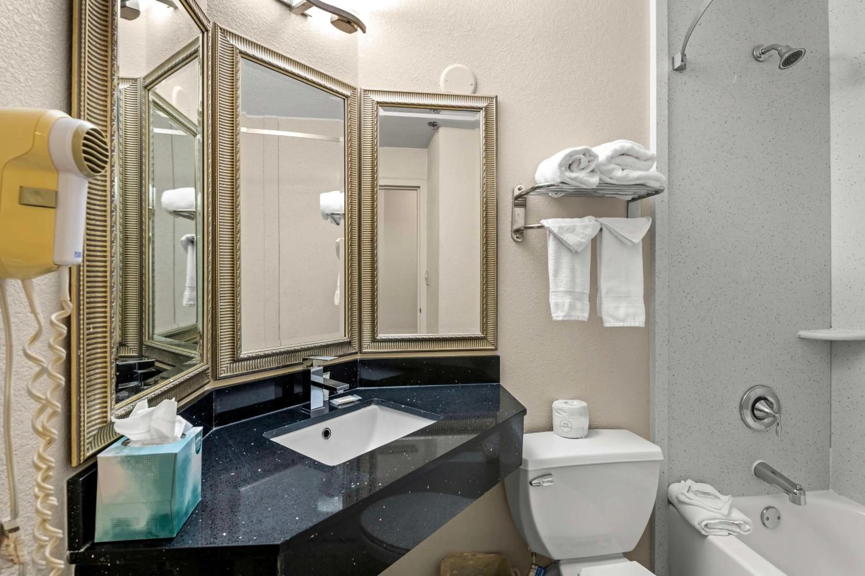 Bathroom in Red Lion Hotel Charlotte