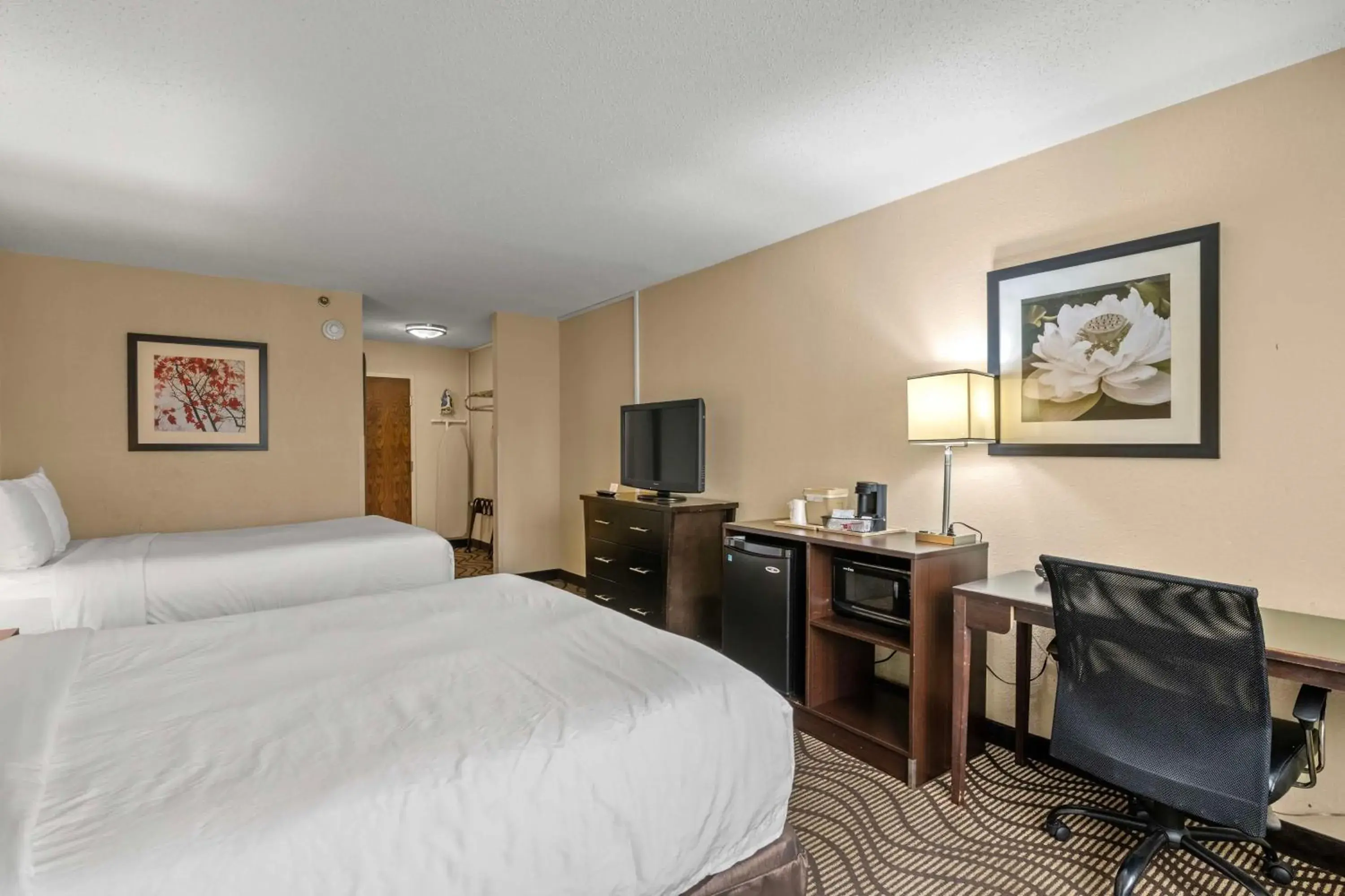 Accessible Two Double Beds Traditional in Red Lion Hotel Charlotte Accessible Two Double Beds Traditional in Red Lion Hotel Charlotte