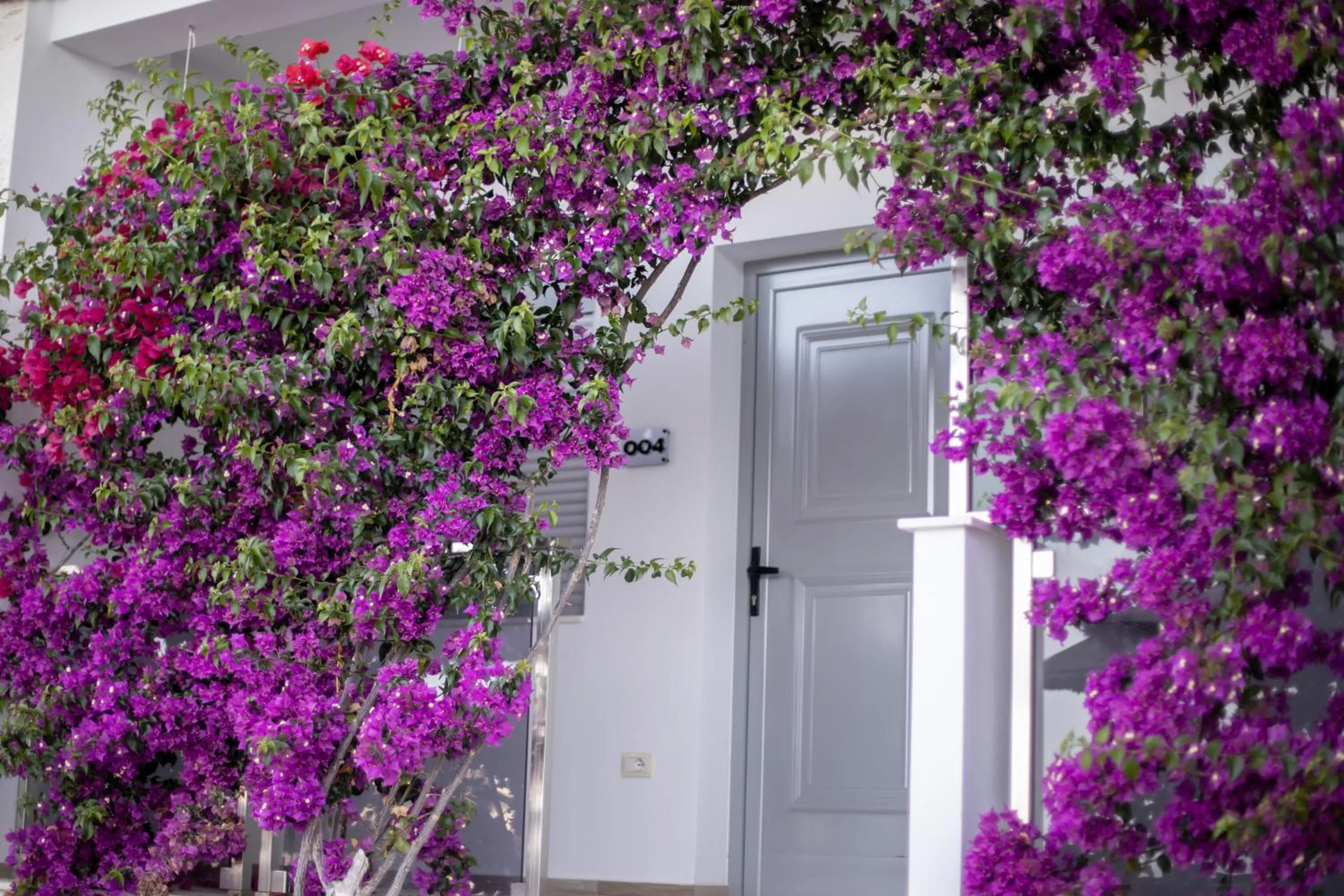 Facade/entrance in Hotel Jaroal