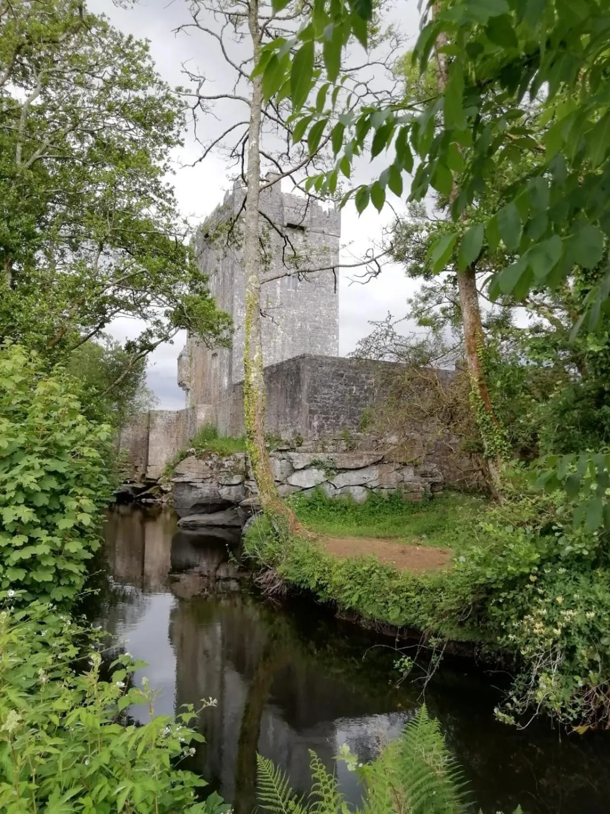 Mountain View Guesthouse