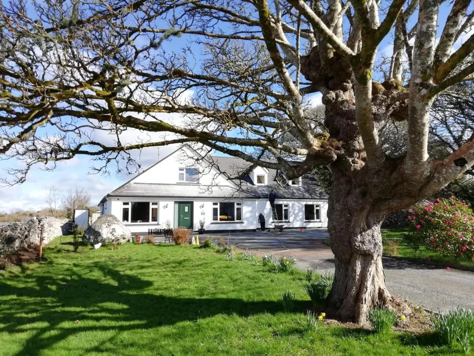 Mountain View Guesthouse