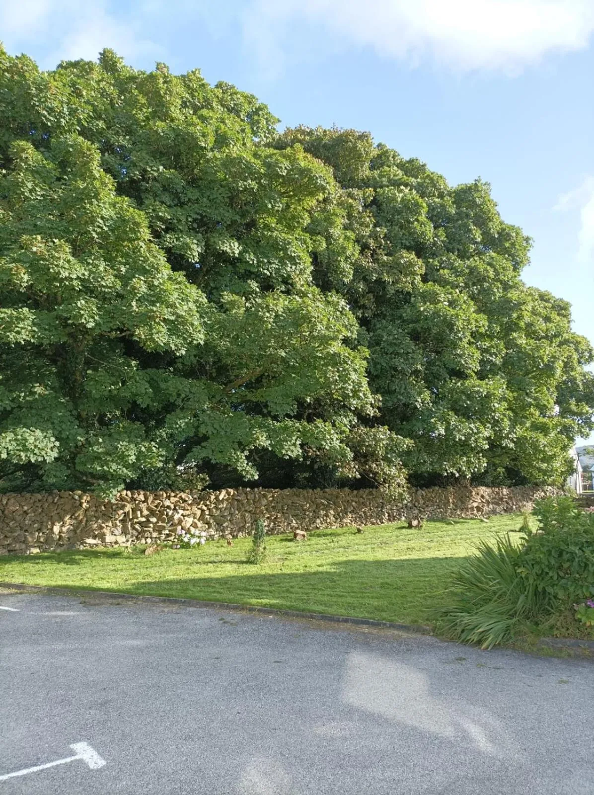 Mountain View Guesthouse