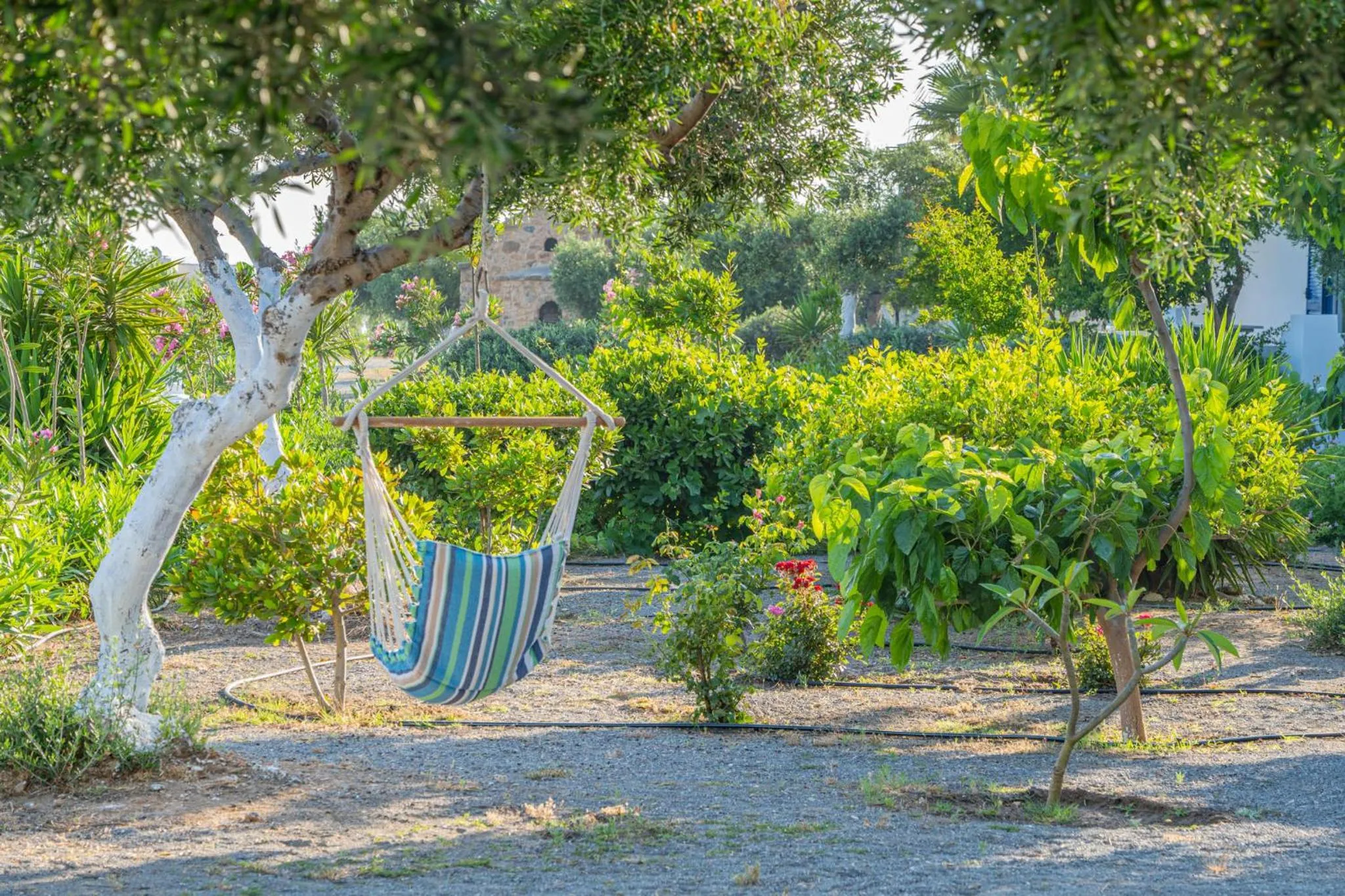 Garden in Fata Morgana Studios & Apartments
