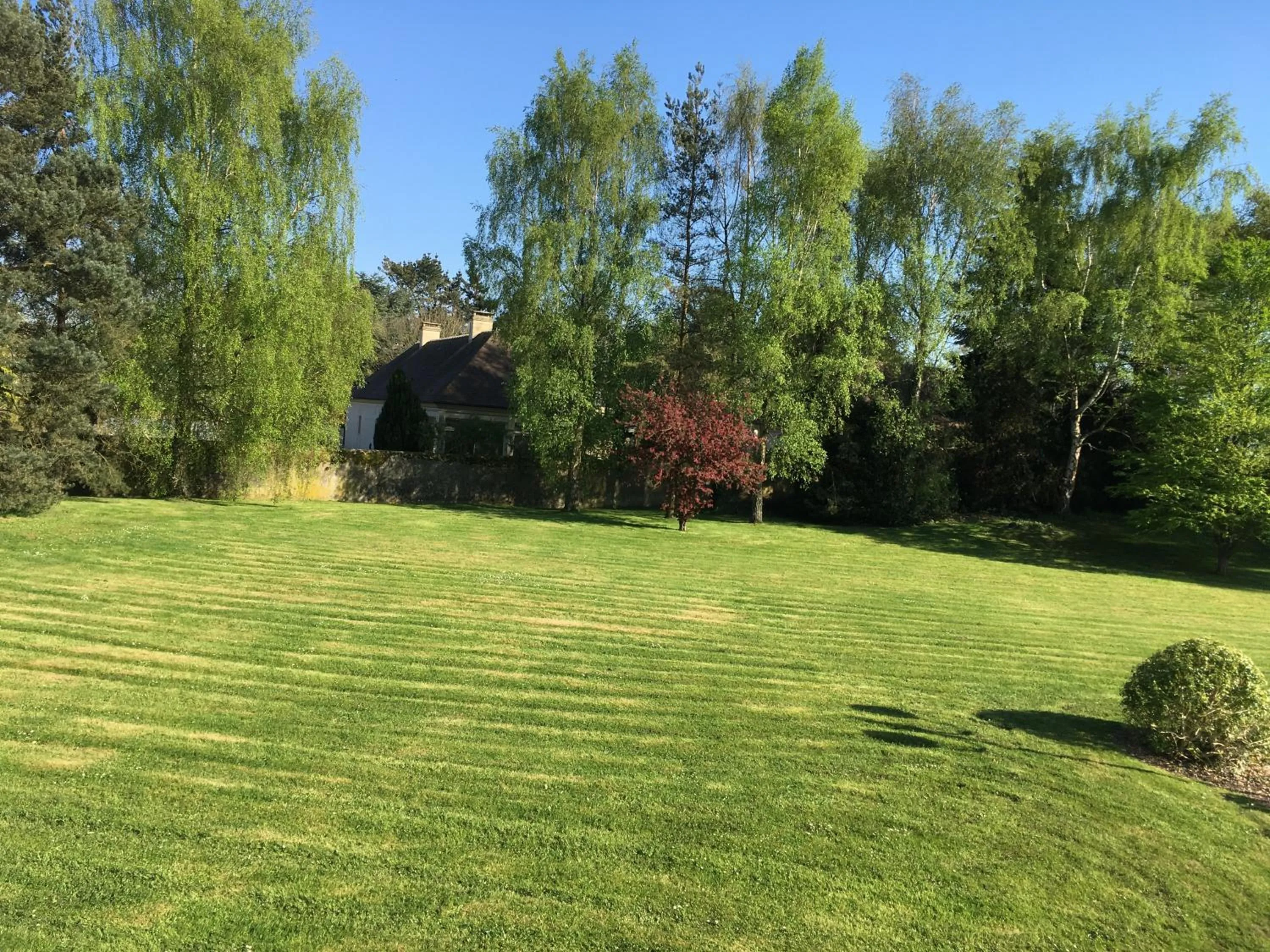 Garden in Novotel Bayeux