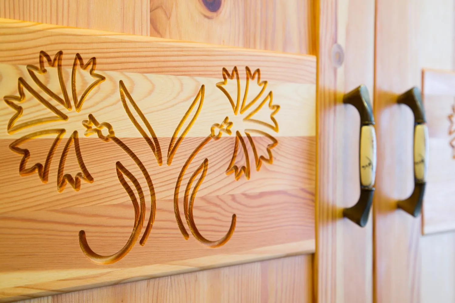 Property building in Penzion Kaps