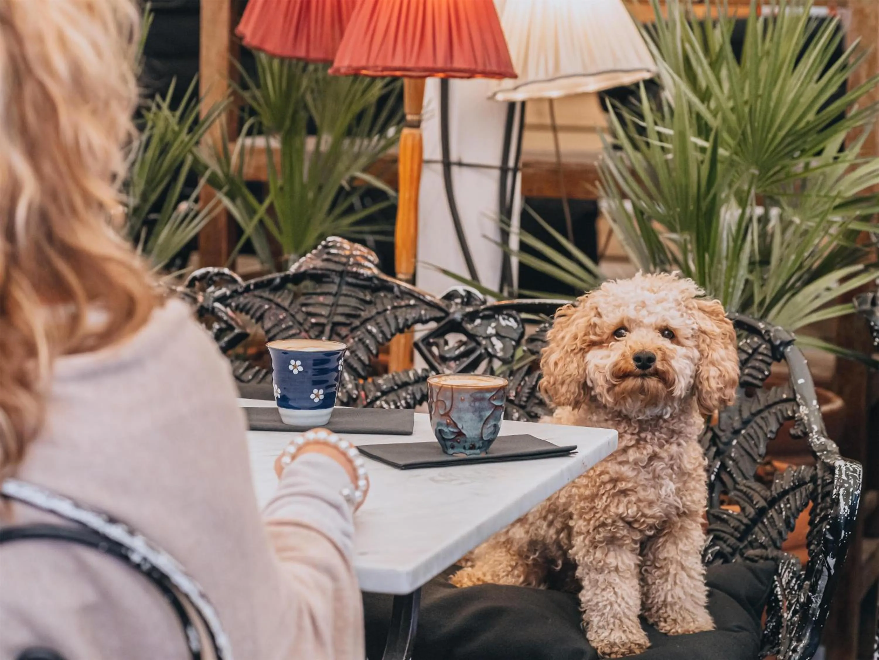 Restaurant/places to eat in STORY HOTEL STOCKHOLM STUREPLAN, in JdV by Hyatt