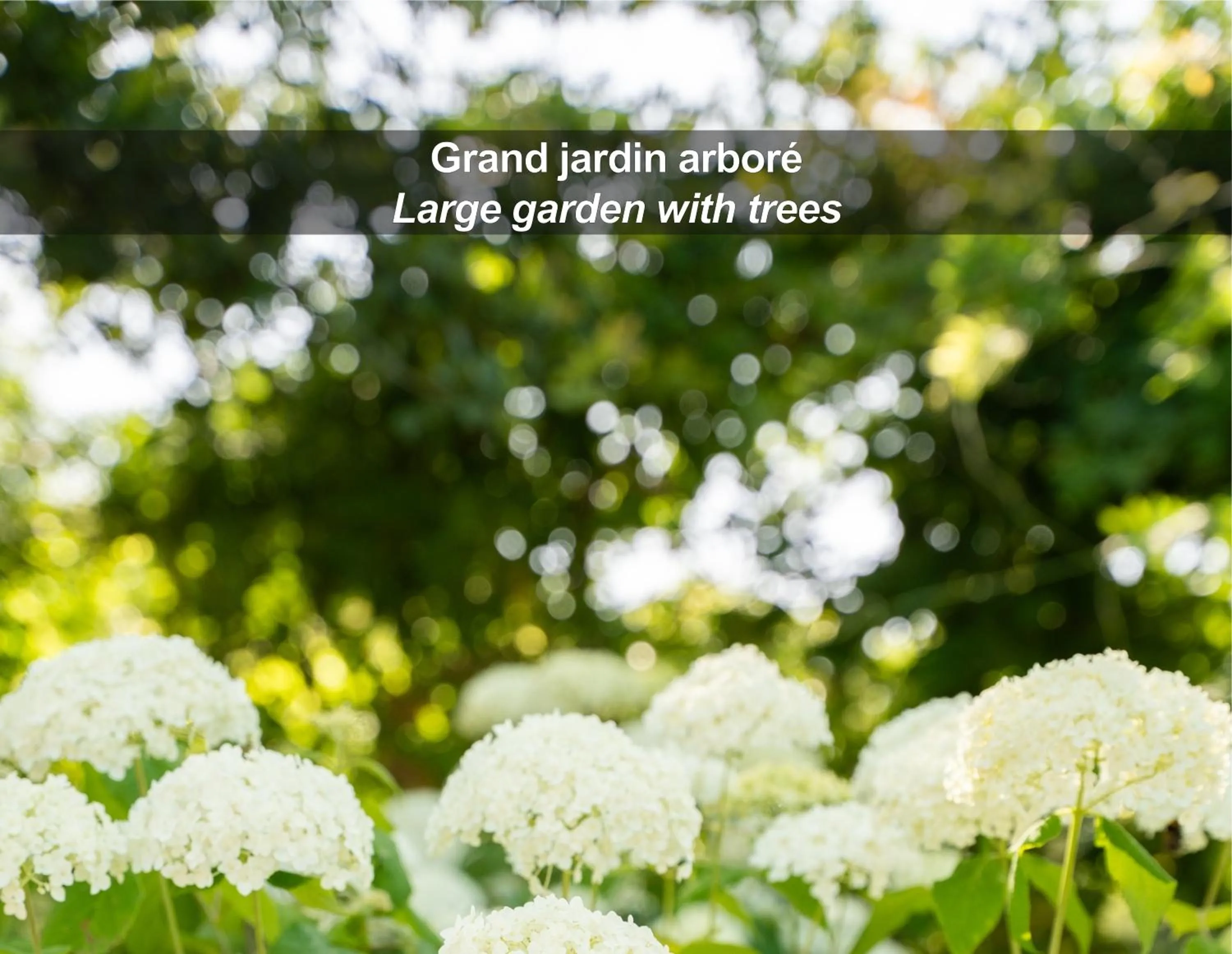 Garden in La Ferme de Bourran