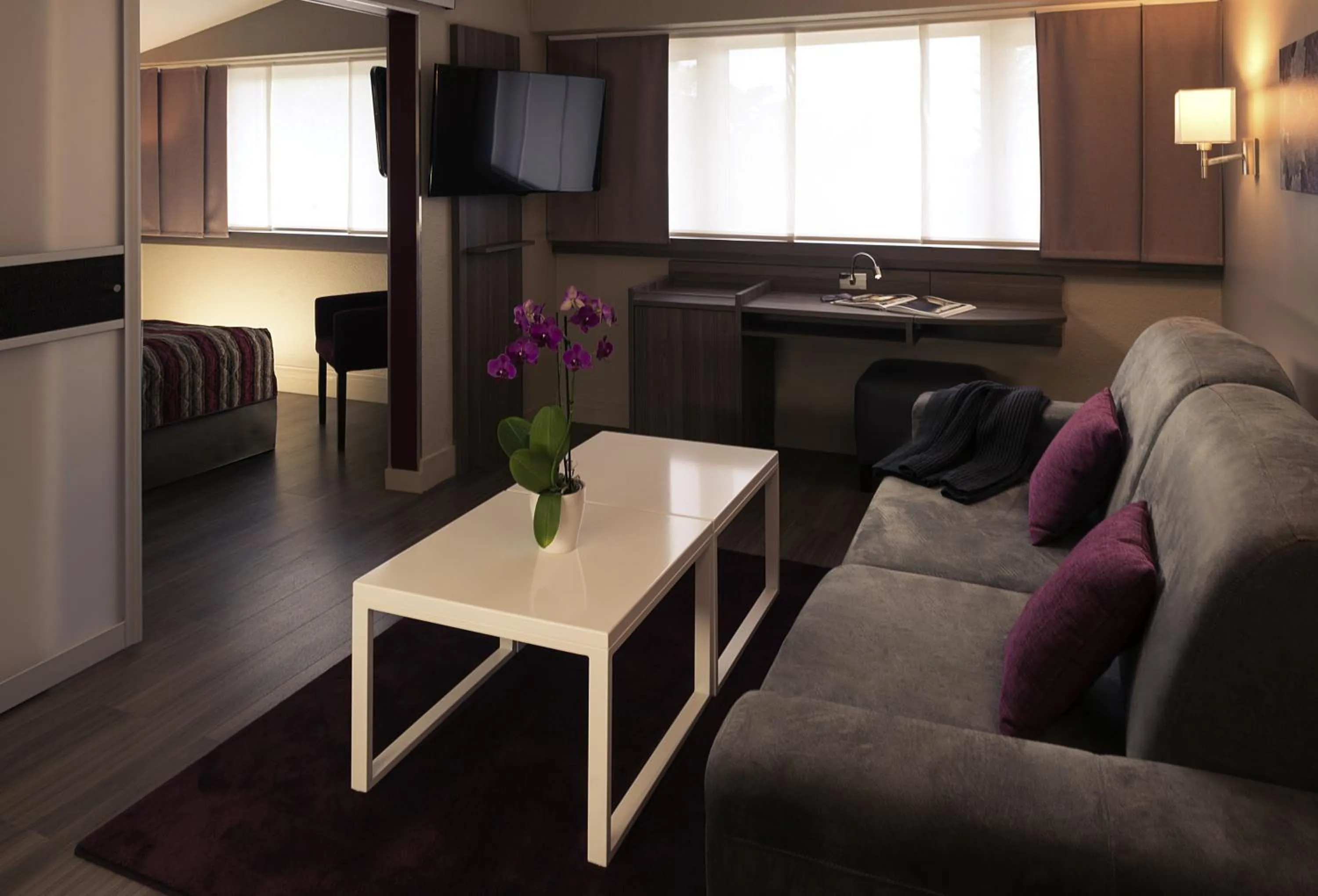 TV and multimedia in Mercure Beaune Centre
