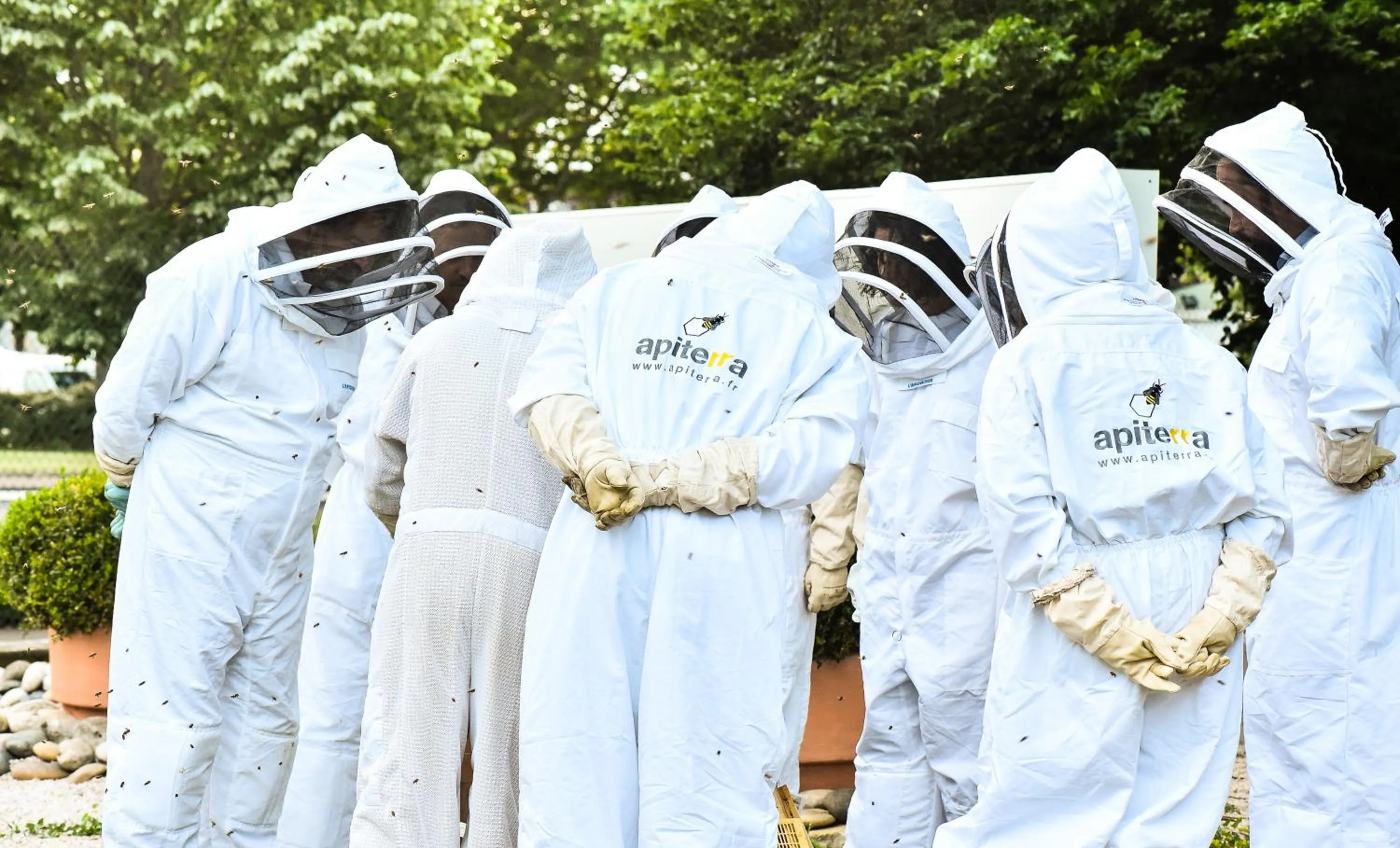 Garden in Mercure Beaune Centre