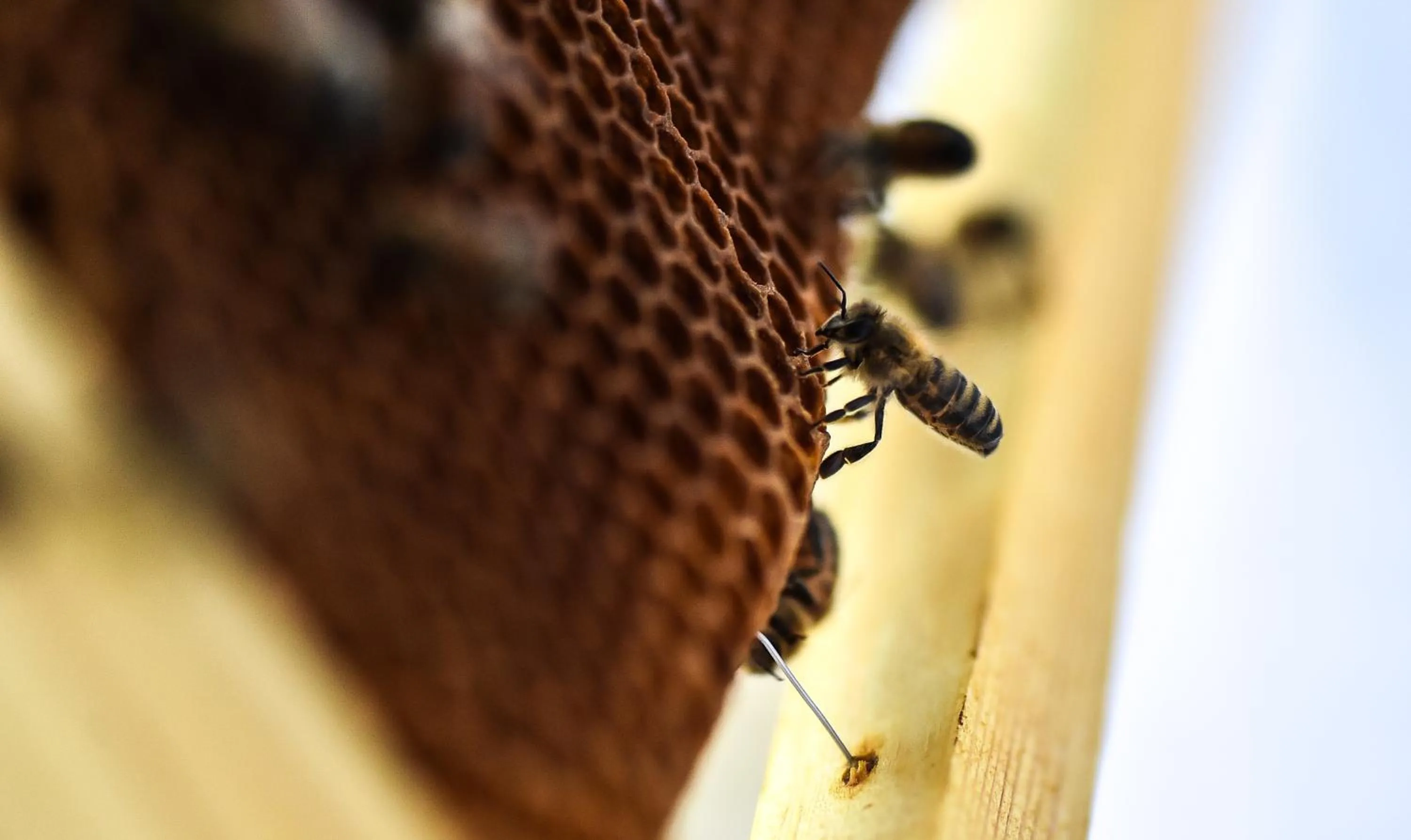 Other in Mercure Beaune Centre