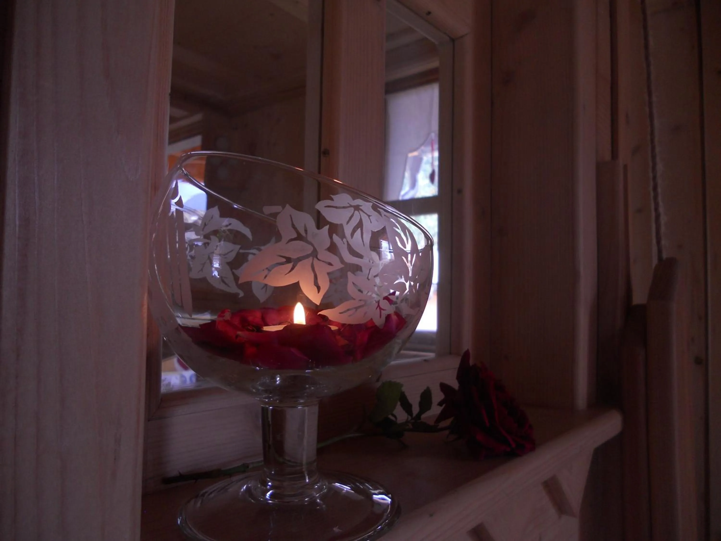 Sauna in Hotel Garnì Salvanel