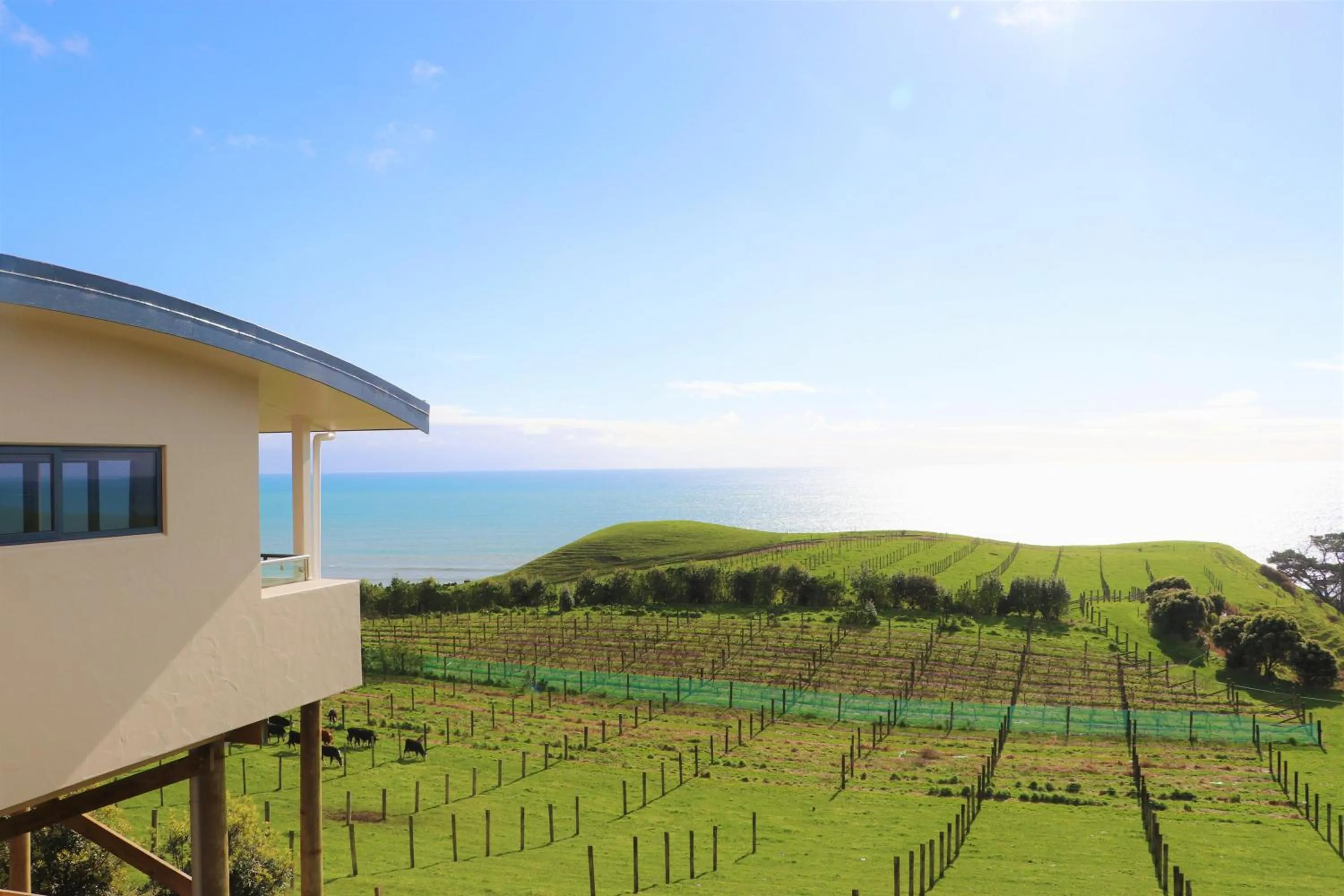 Property building in Chalets at Okurukuru