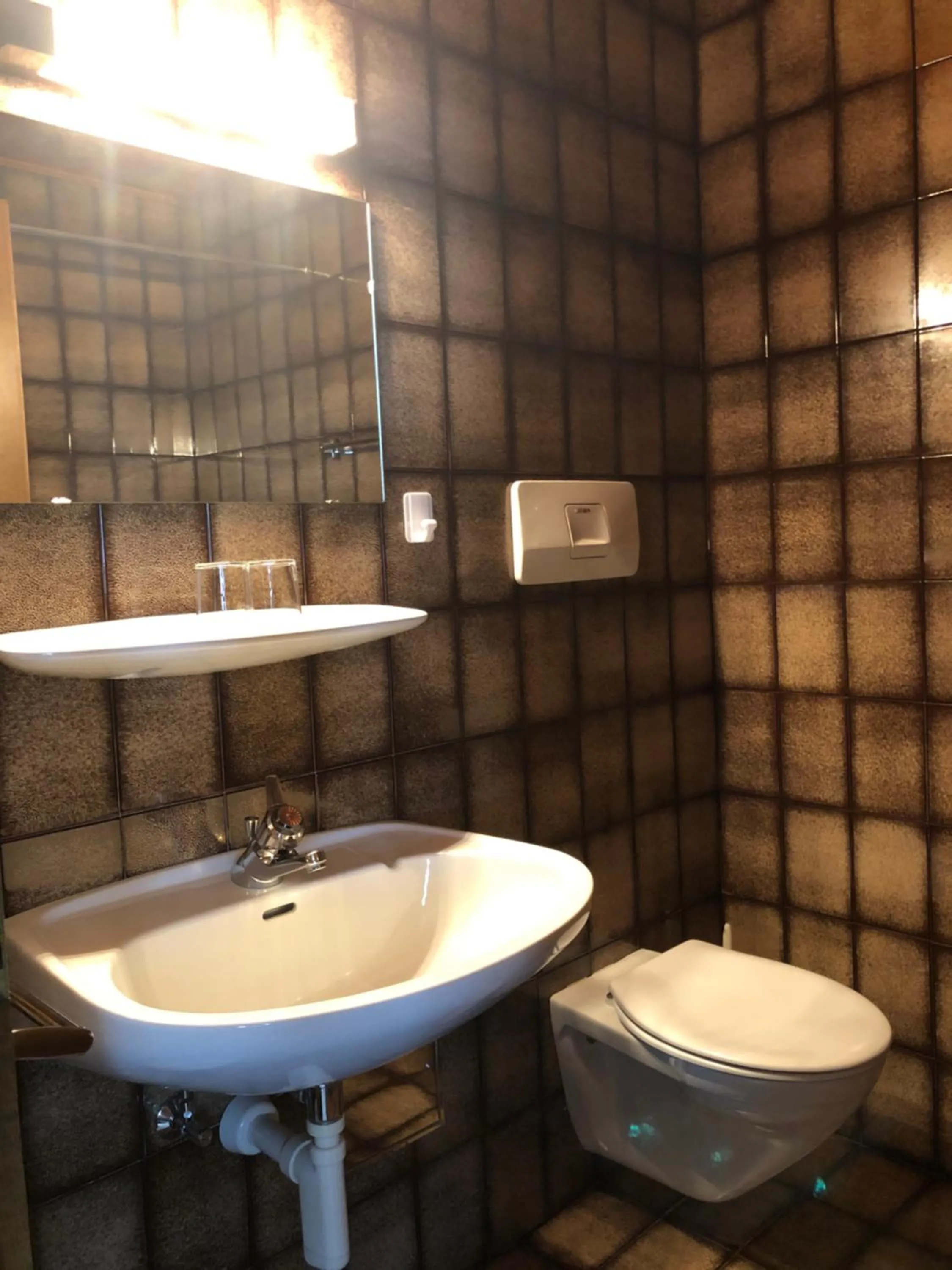 Toilet in Andreas Hofer