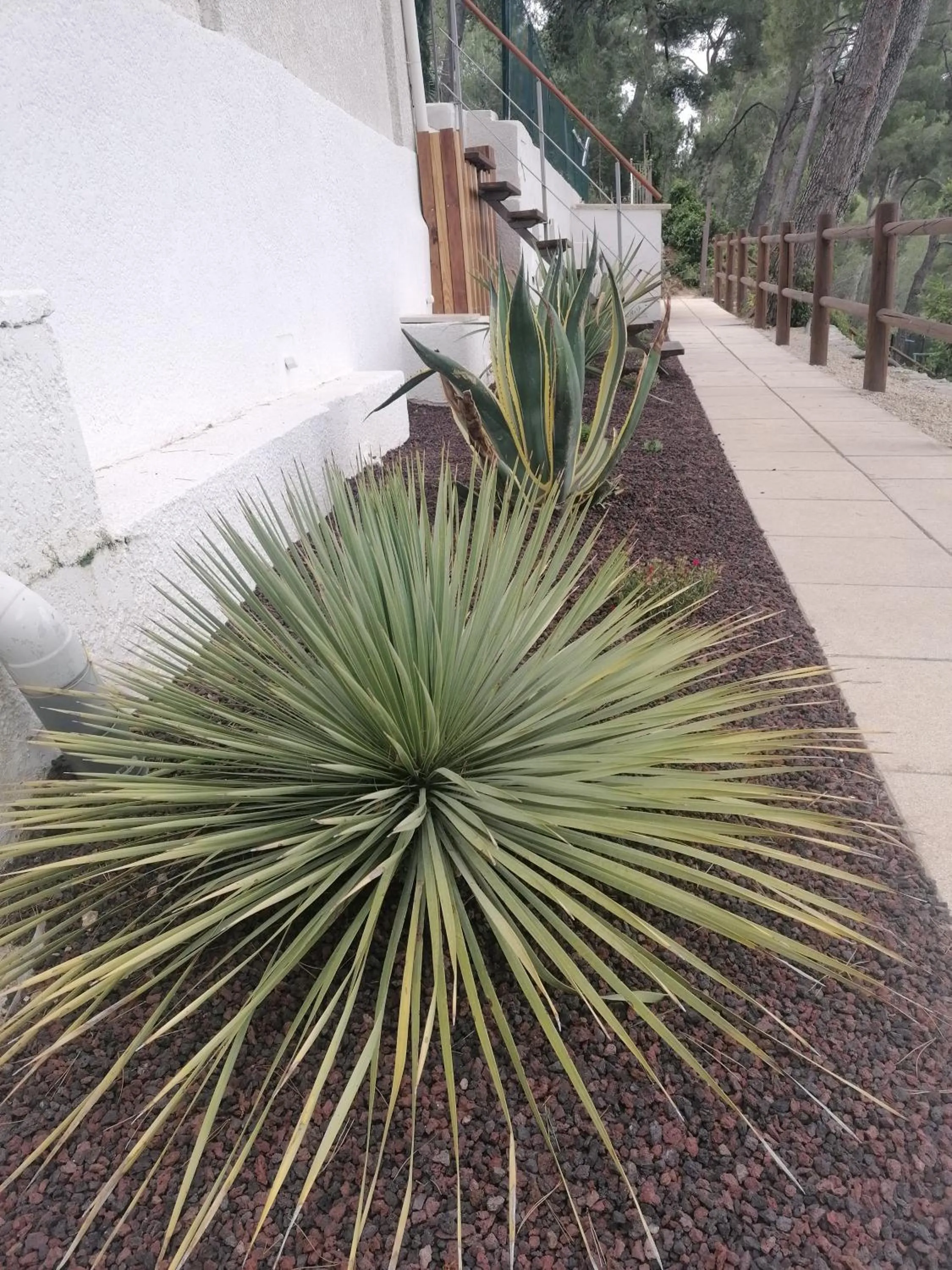 Garden in Le Mas des Roches à Velaux