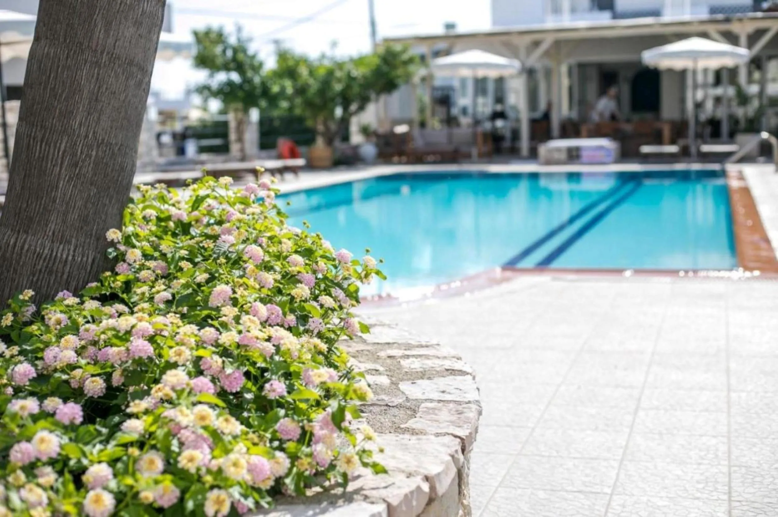 Property building in Vickys Faliraki