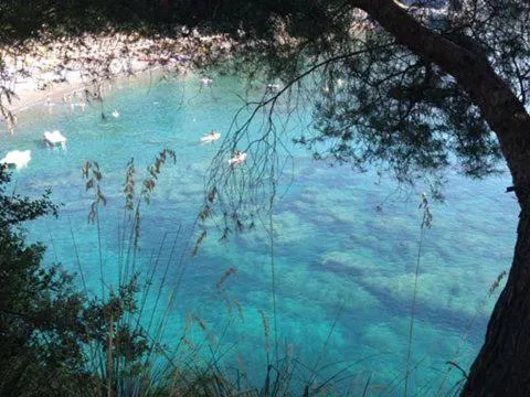 Other in Hotel Club San Diego