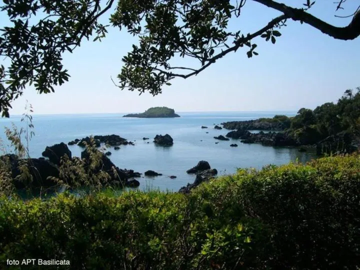 Area and facilities in Hotel Club San Diego