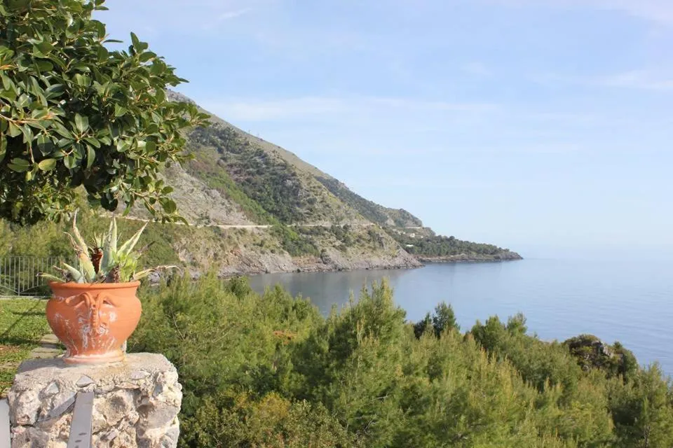 Natural landscape in Hotel Club San Diego