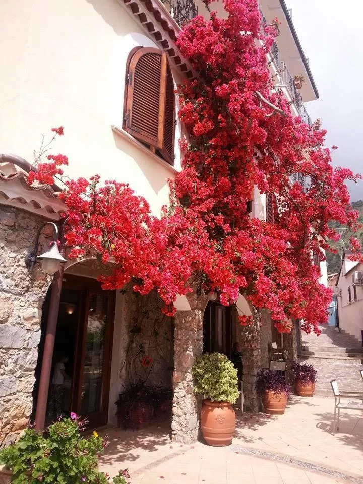 Facade/entrance in Hotel Club San Diego
