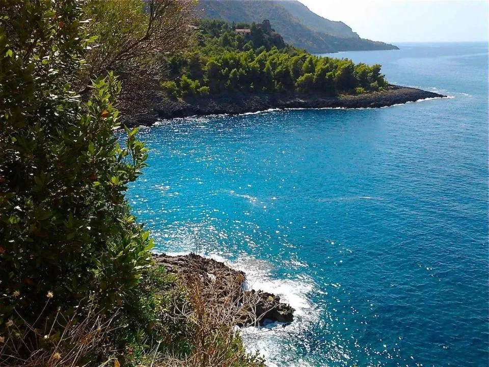 Area and facilities in Hotel Club San Diego