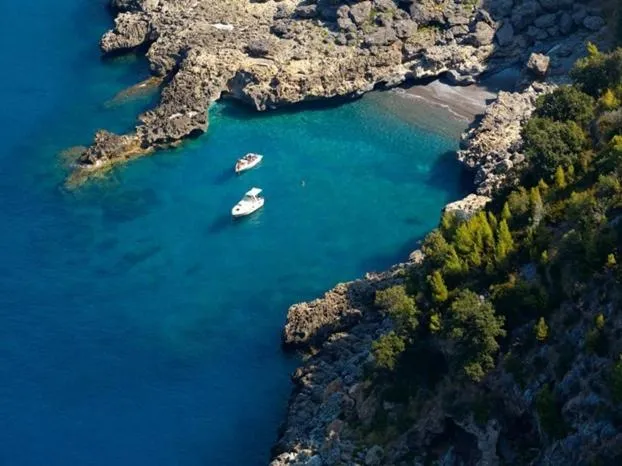 Area and facilities in Hotel Club San Diego