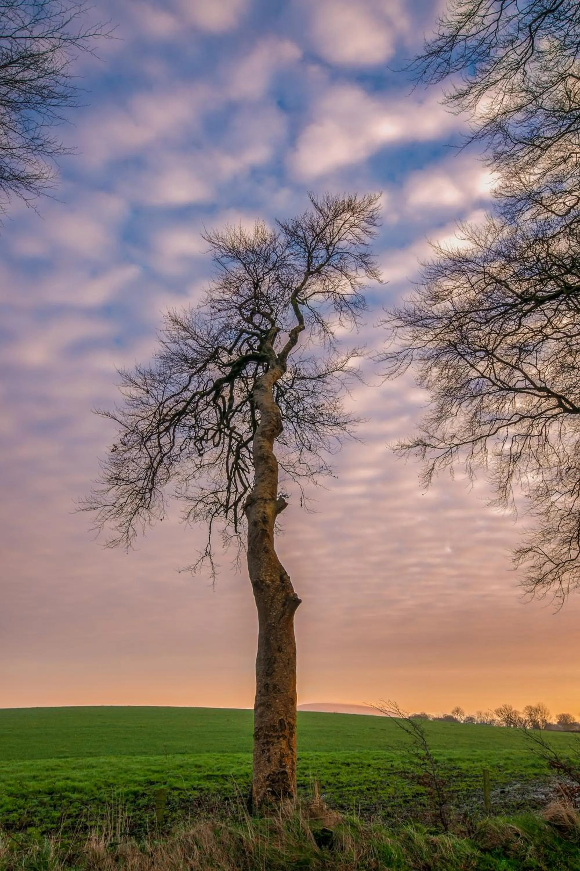 Other in Harbour Heights B&B